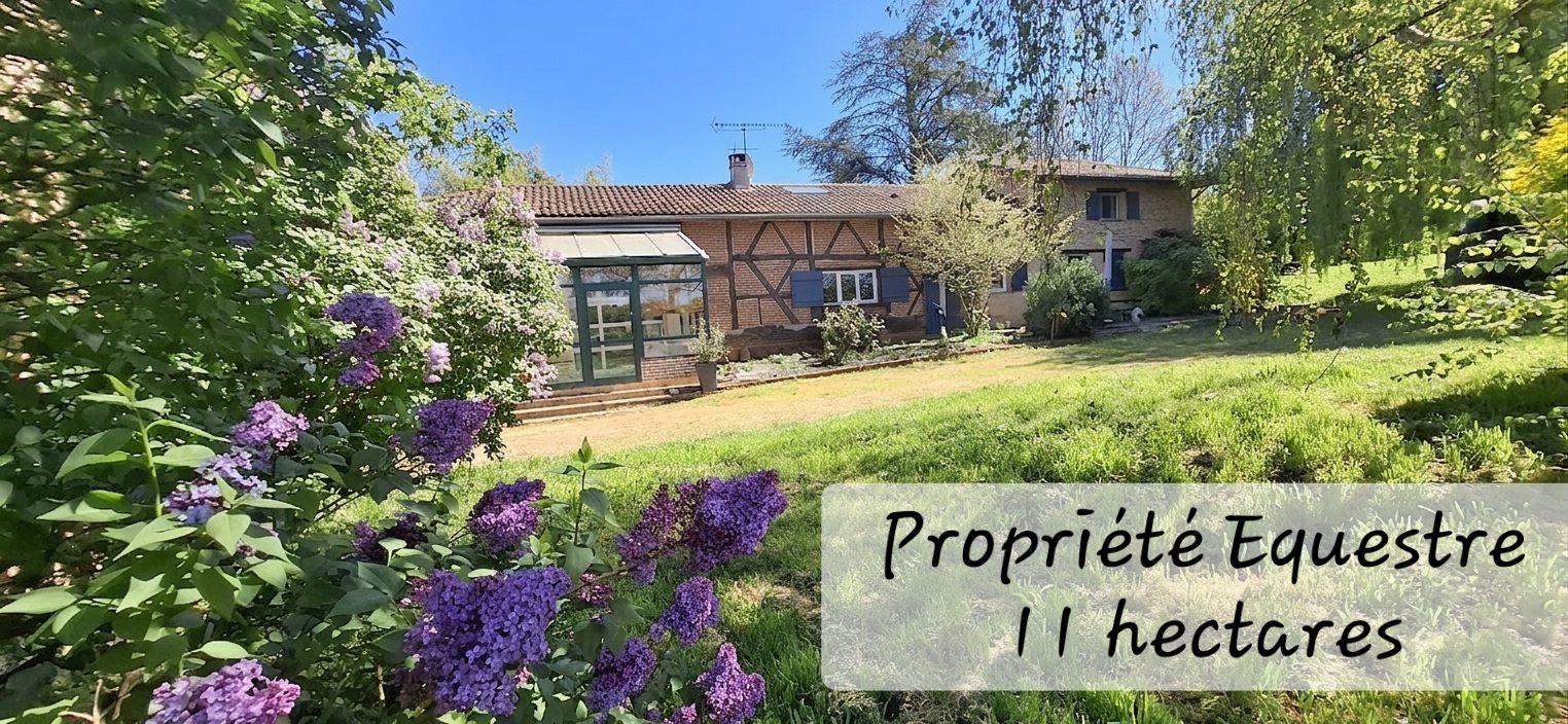 Maison à vendre, 220m², Saint-André-d'Huiriat