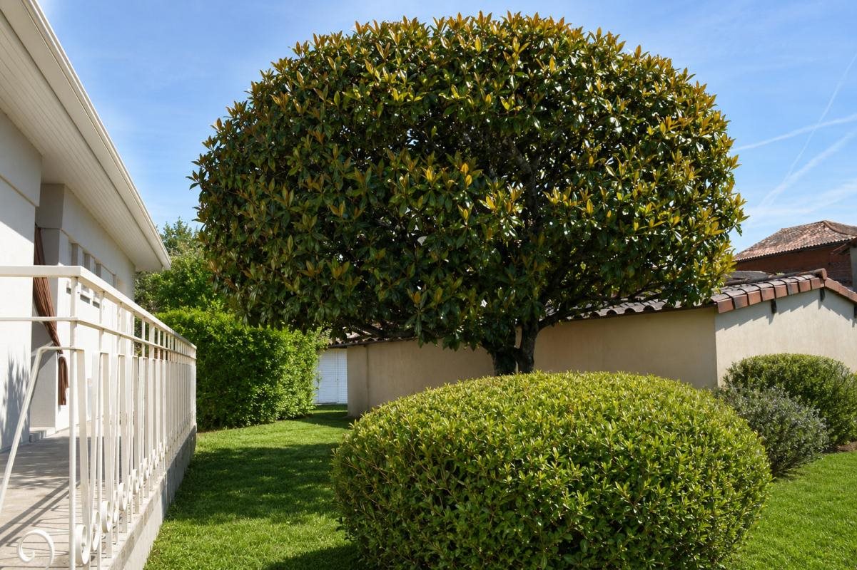 Maison à vendre, 80m², Lafrançaise