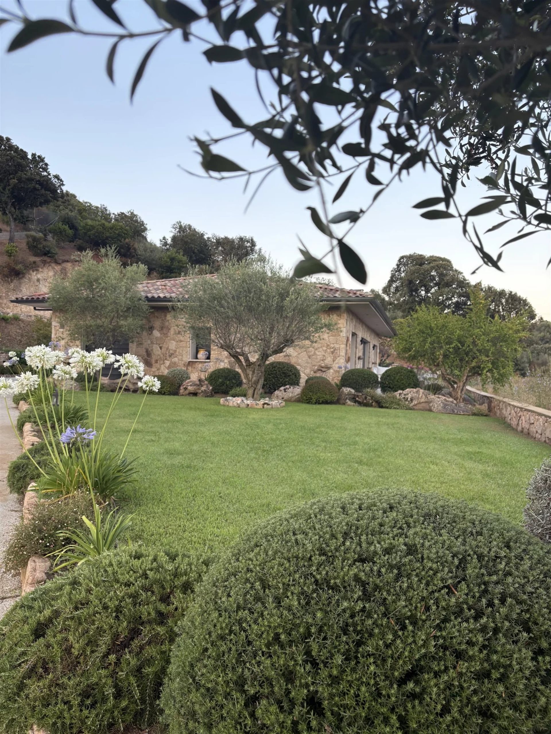 Maison à vendre, 138m², Viggianello