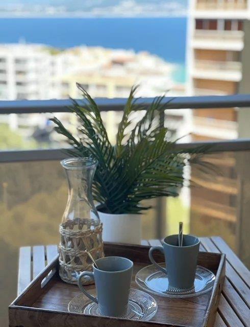 Appartement à louer, 33m², Ajaccio