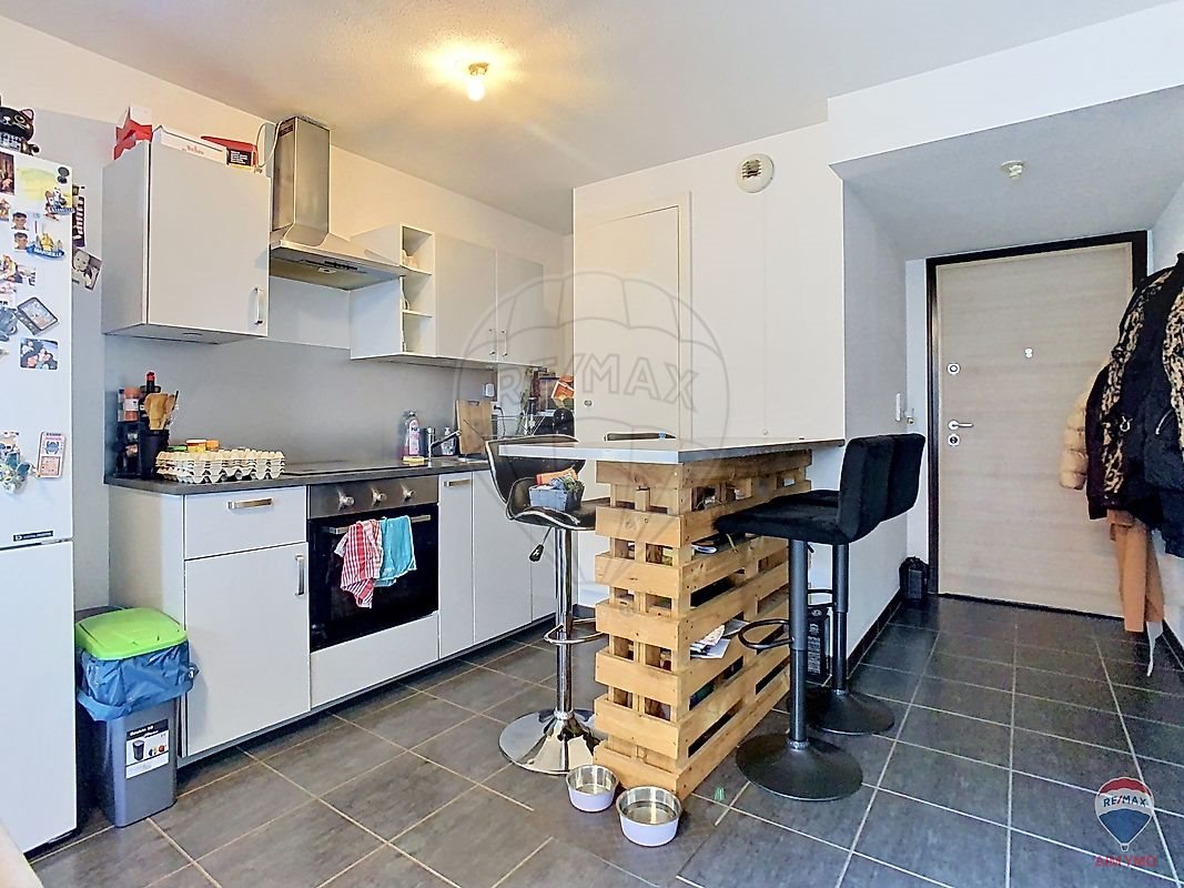 Appartement à vendre, 46m², Bollwiller