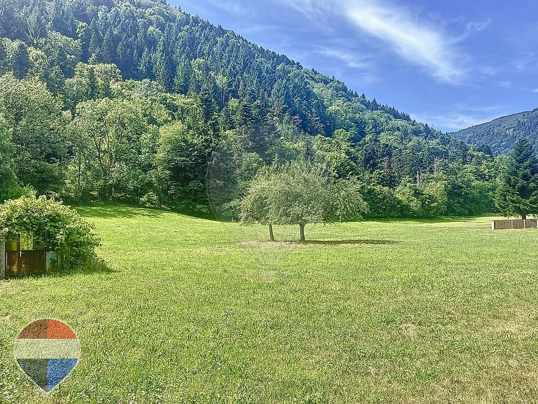 Maison à vendre, 255m², Mittlach