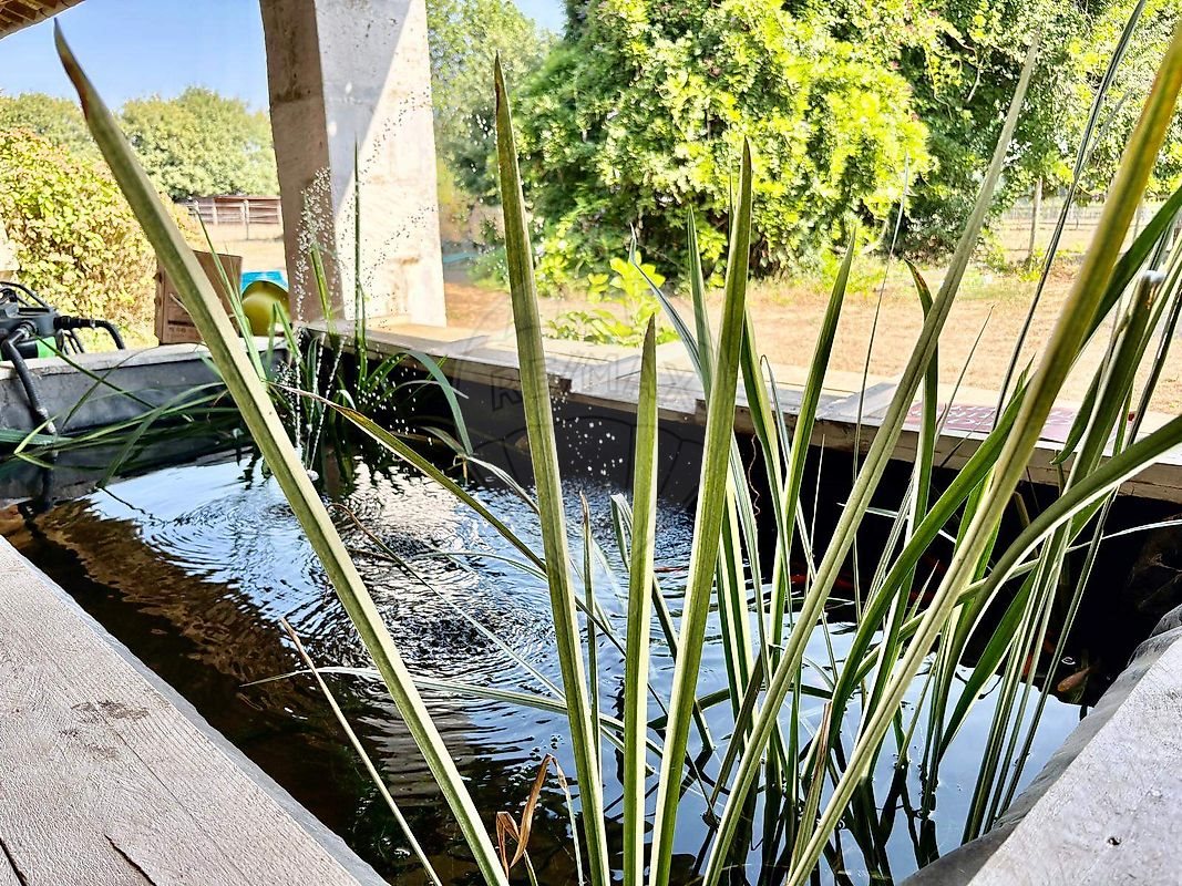 Maison à vendre, 190m², Ecurat