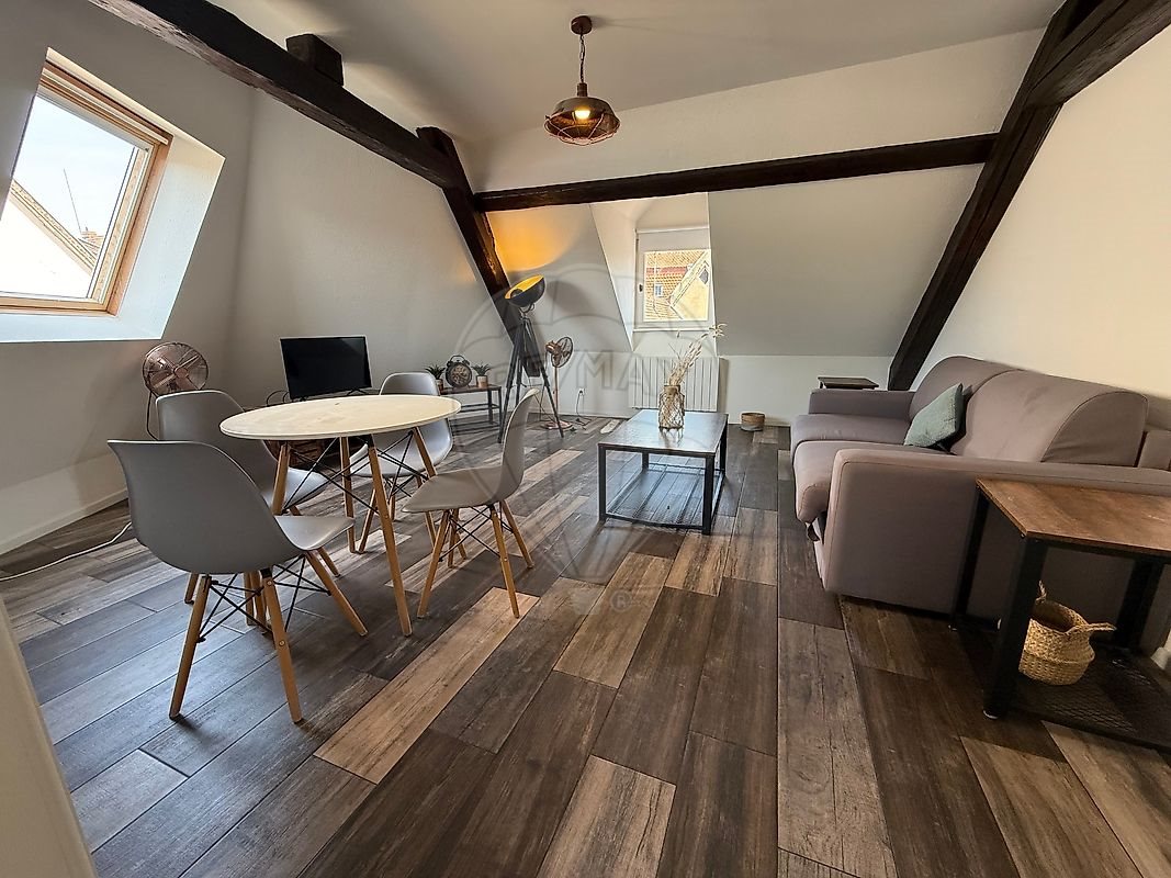 Appartement à vendre, 45m², Colmar