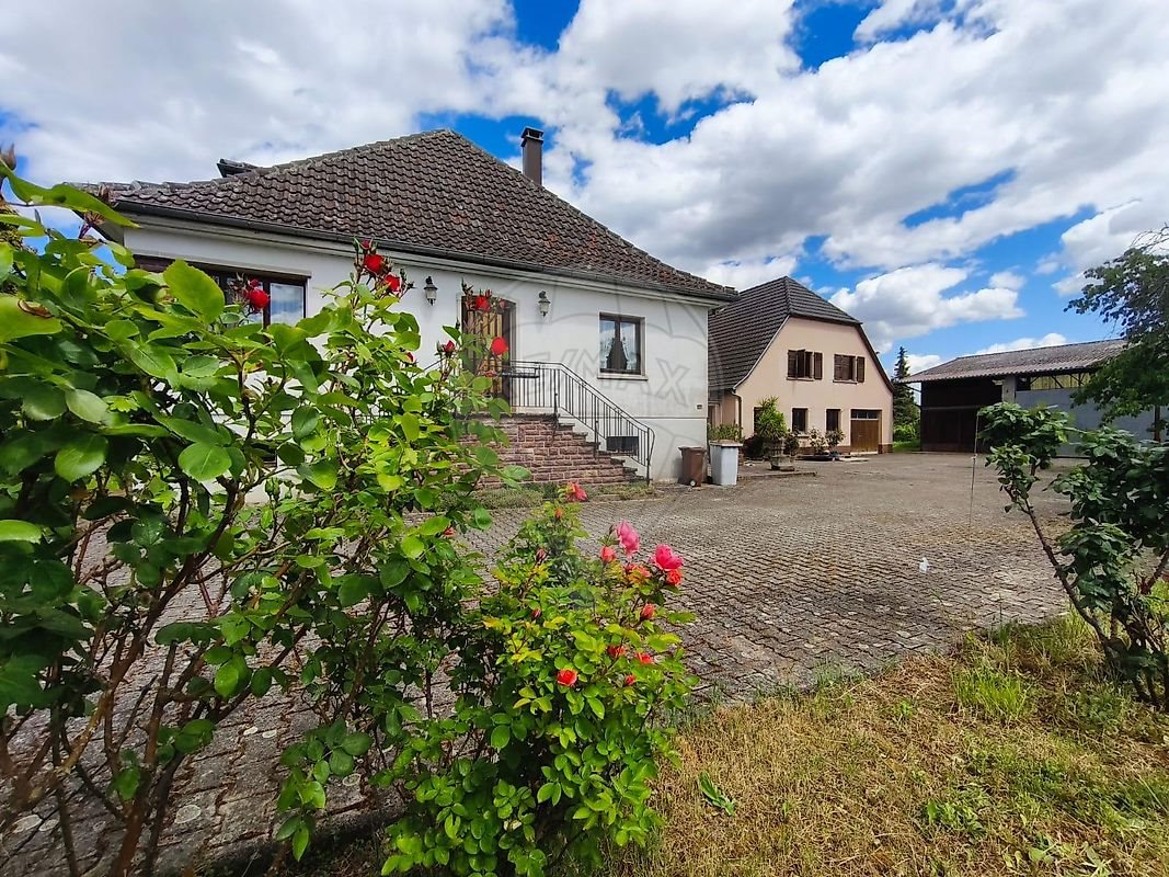Maison à vendre, 338m², Pfaffenheim