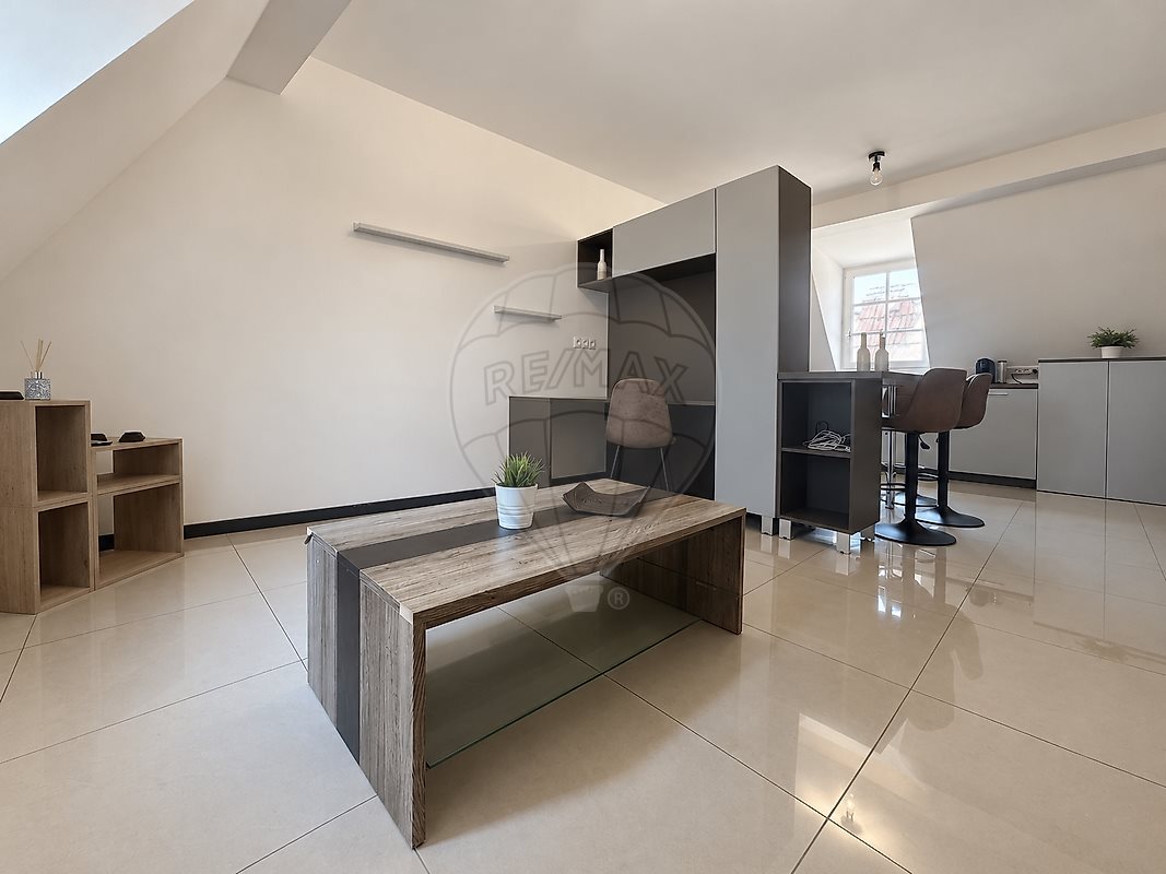 Appartement à vendre, 44m², Metz