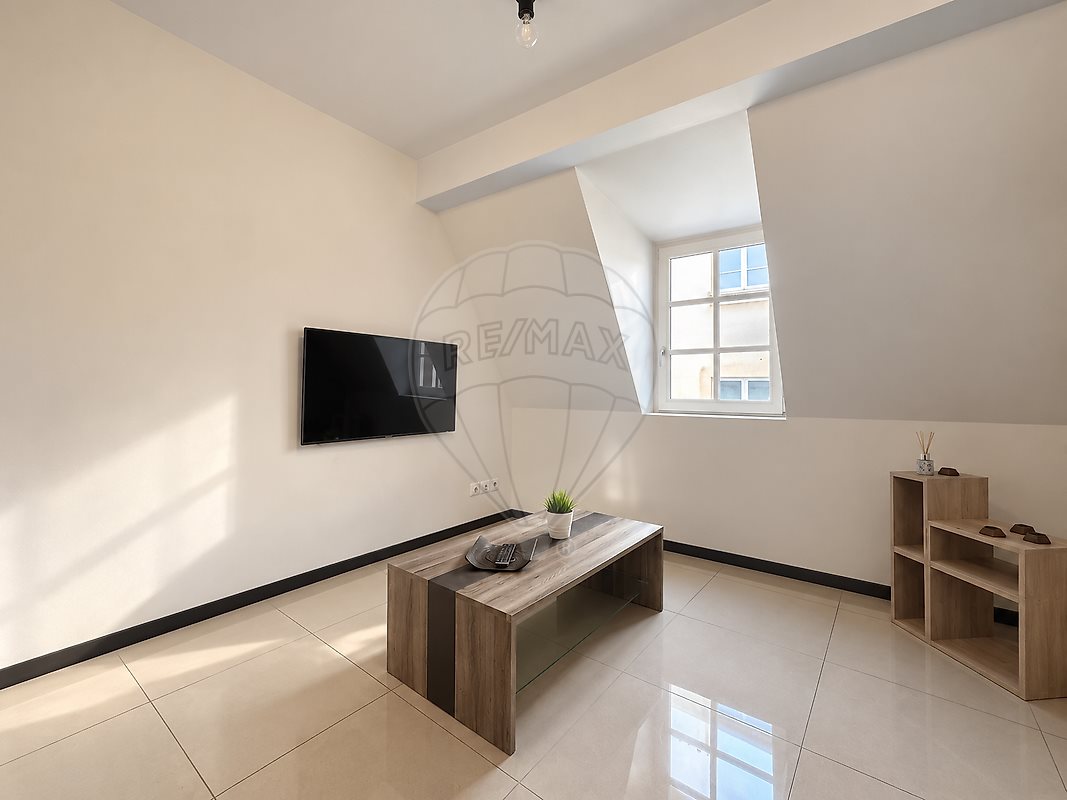 Appartement à vendre, 44m², Metz
