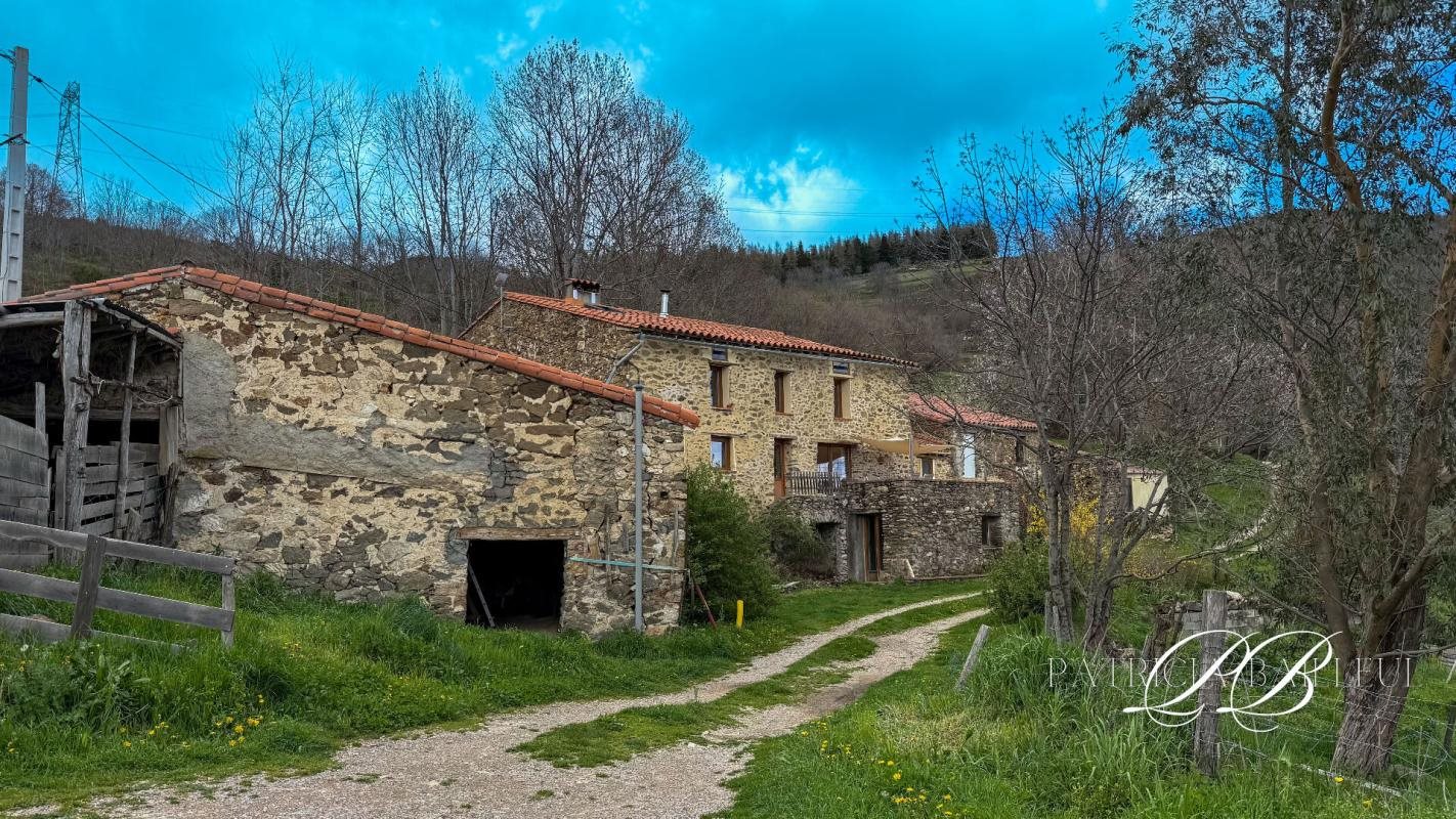 Maison à vendre, 203m², Montferrer