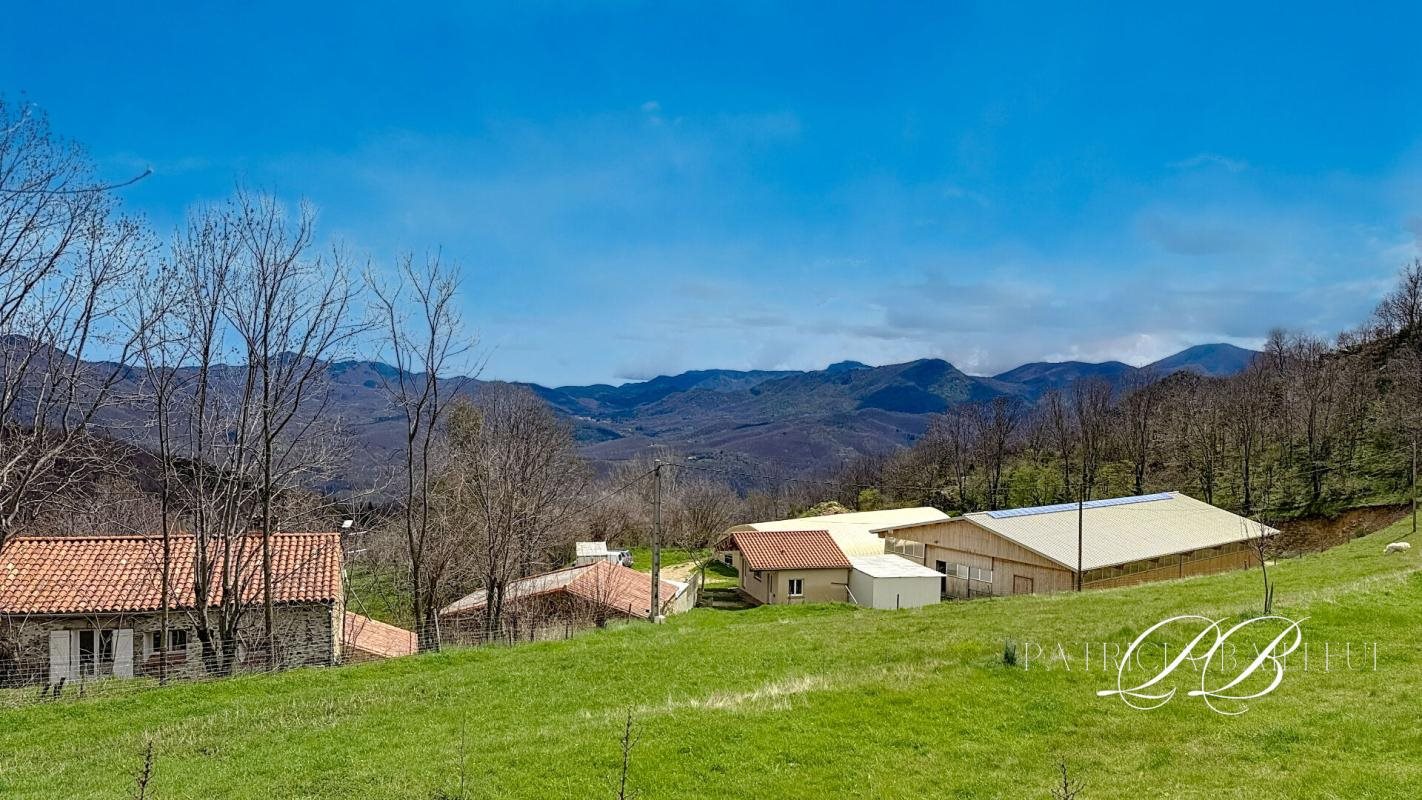 Maison à vendre, 203m², Montferrer