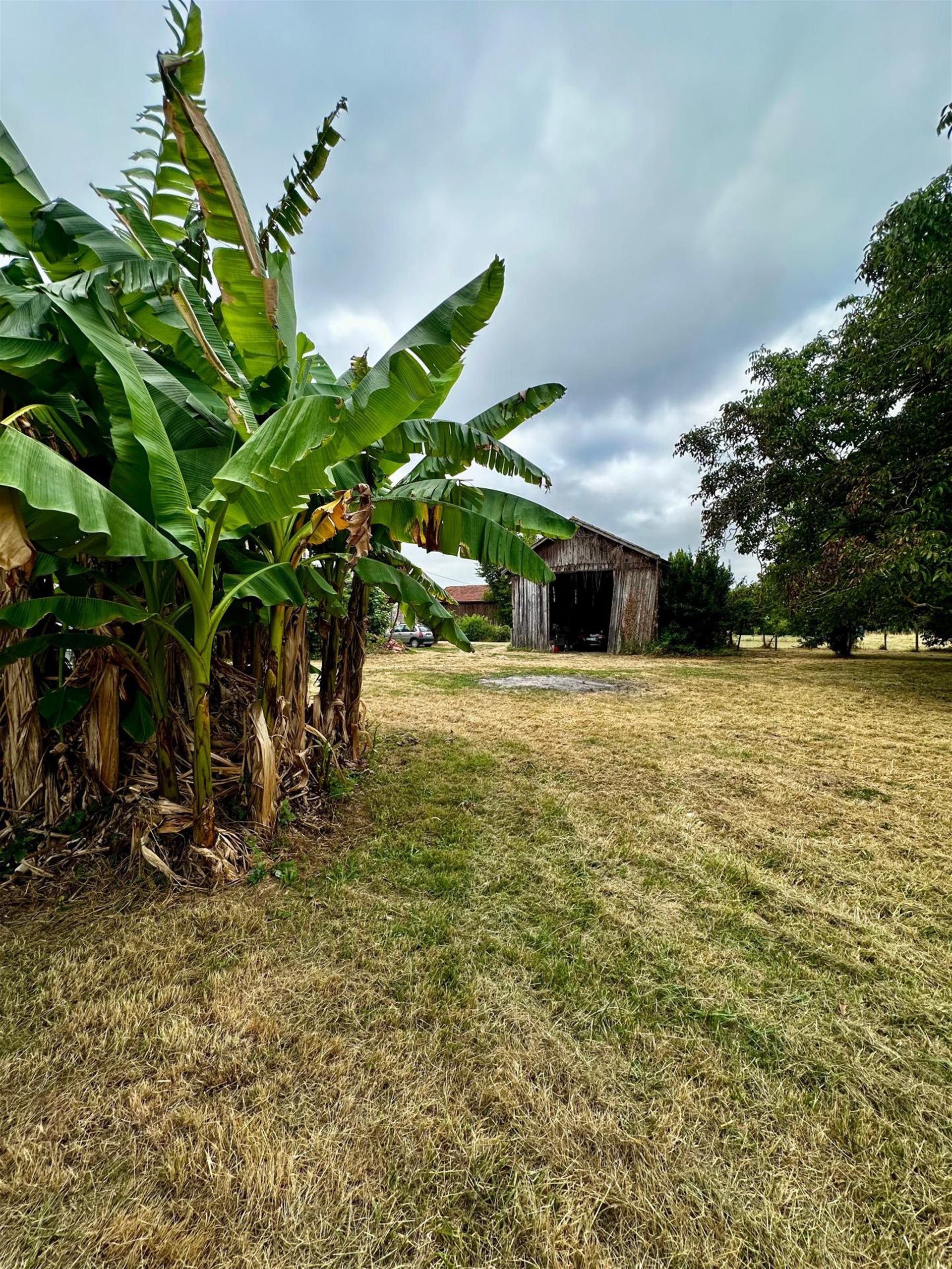 Maison à vendre, 178m², Civrac-sur-Dordogne
