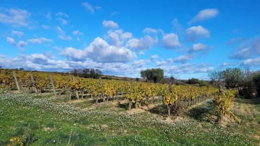 Terrain 1643 m² · à Autignac · 140 400 €