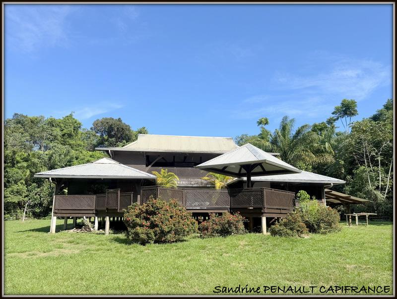 Maison à vendre, 268m², Montsinéry-Tonnegrande
