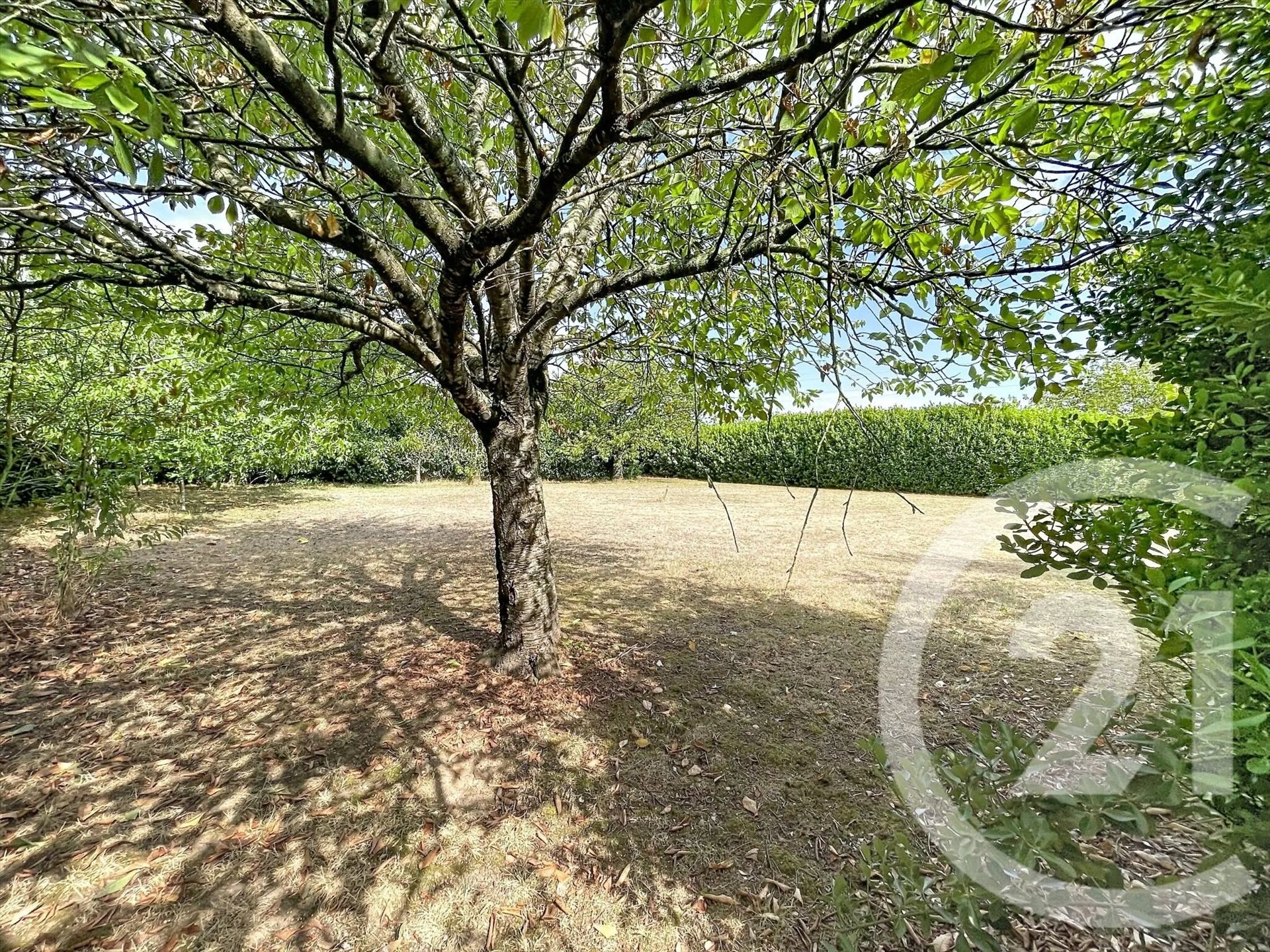 Maison à vendre, 135m², Cintegabelle
