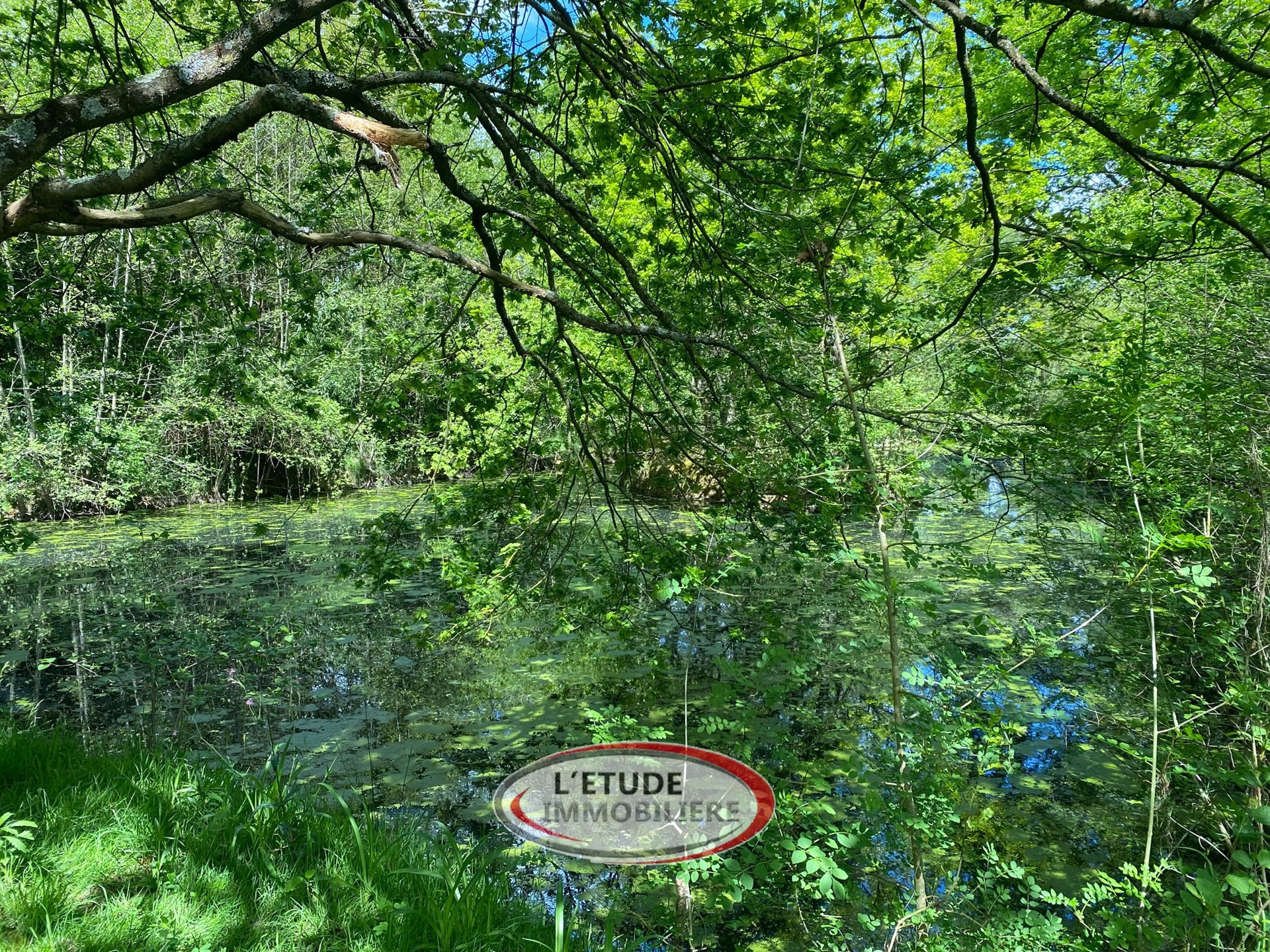 Maison à vendre, 147m², Ligné