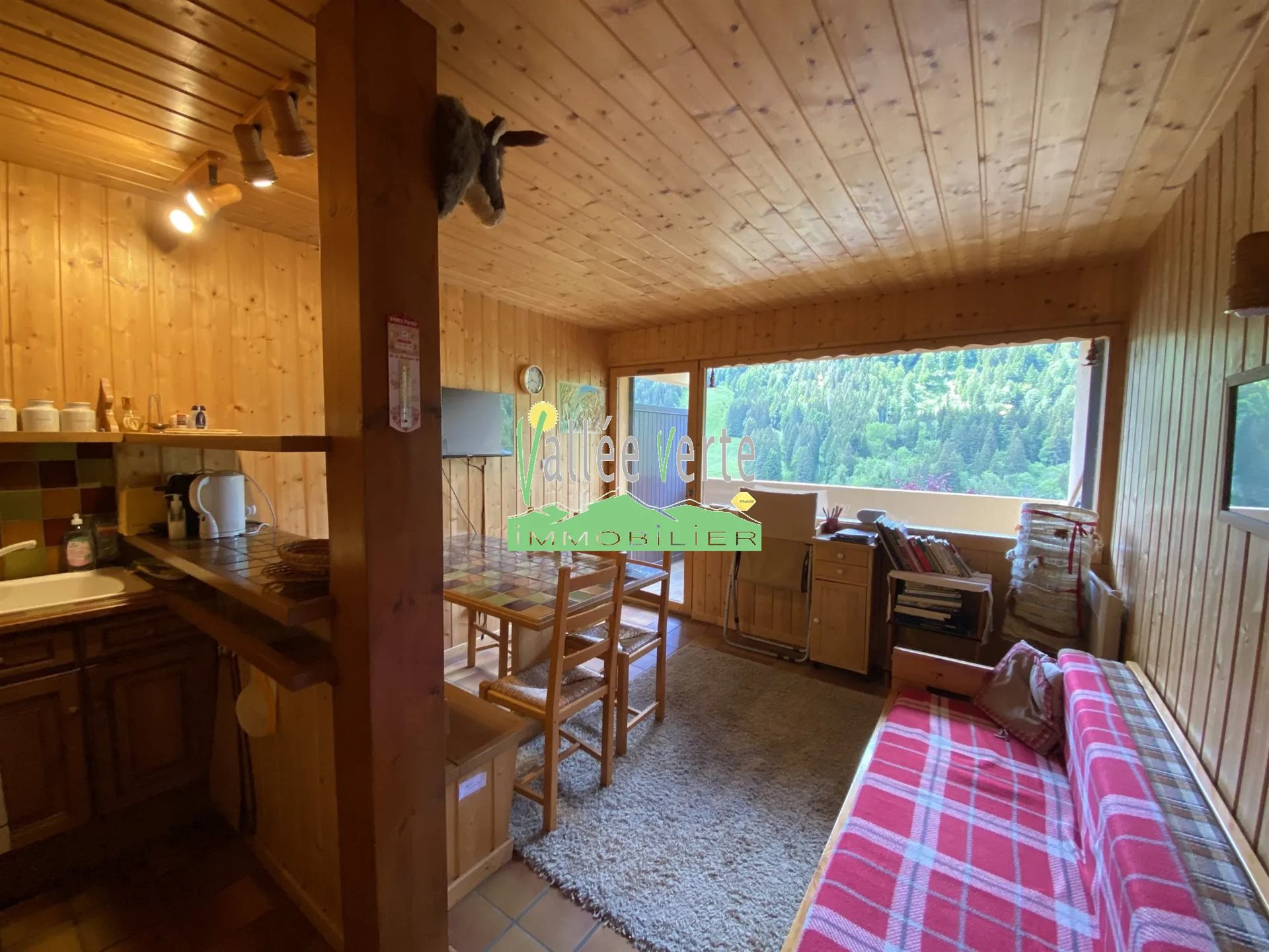 Appartement à vendre, 28m², Bellevaux (Bellevaux-Hirmentaz)