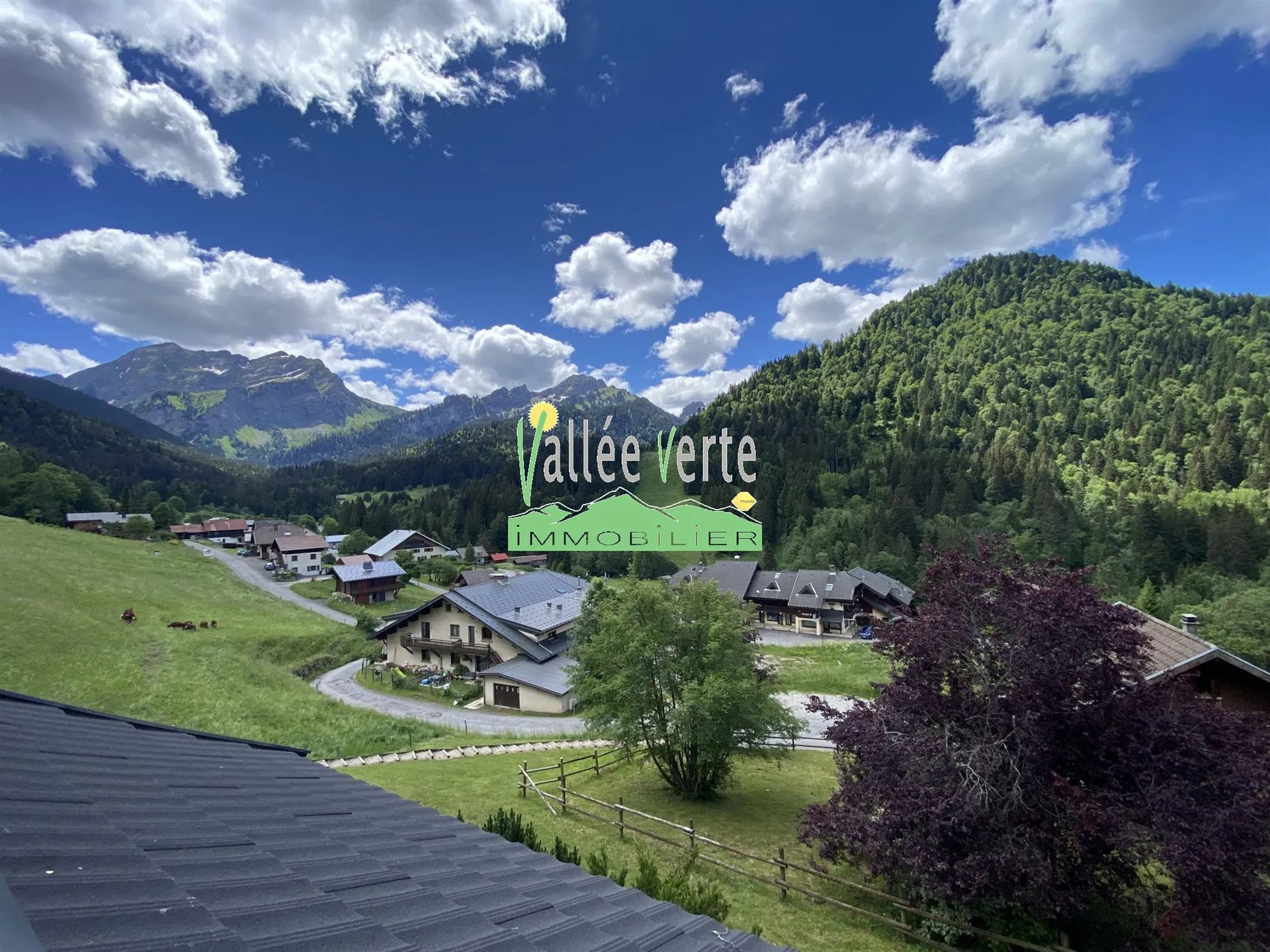 Appartement à vendre, 28m², Bellevaux (Bellevaux-Hirmentaz)