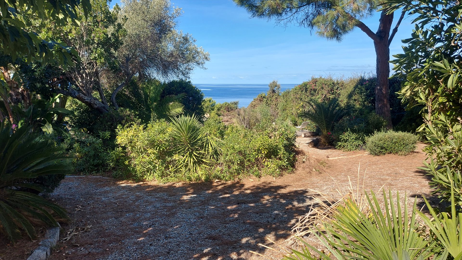 Maison à vendre, 120m², Calcatoggio