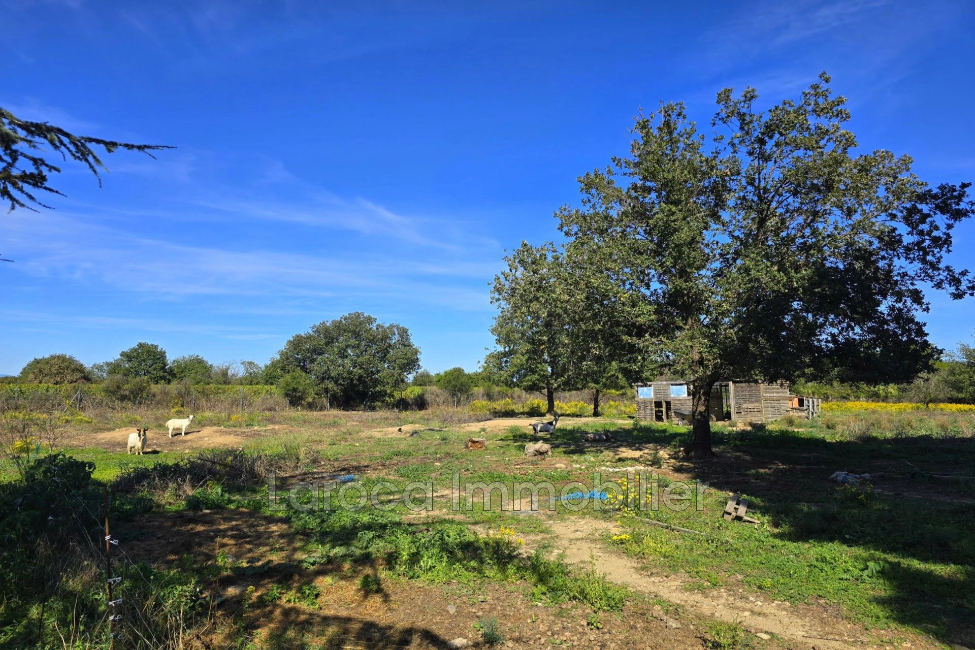 Maison à vendre, 154m², Laroque-des-Albères