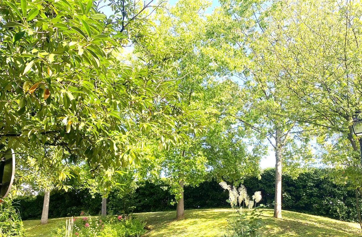 Appartement à vendre, 196m², Fontenay-le-Fleury