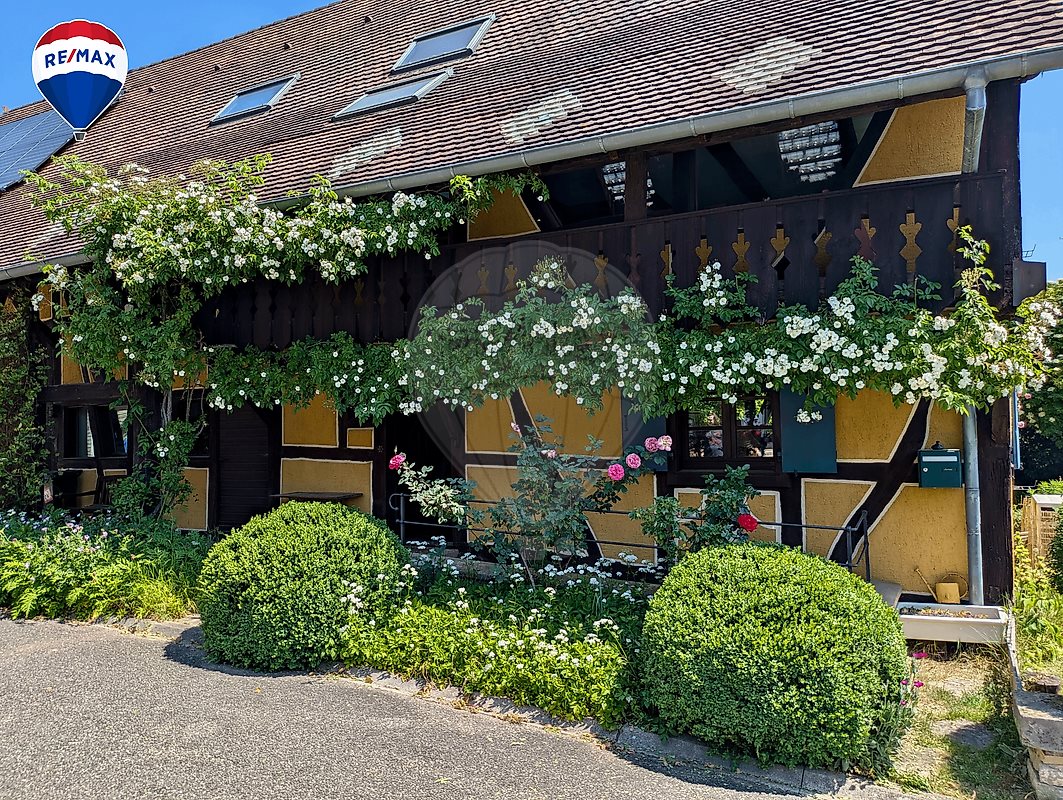 Maison à vendre, 250m², Hagenthal-le-Haut