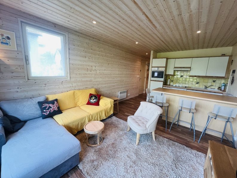 Appartement à vendre, 50m², Menthon-Saint-Bernard