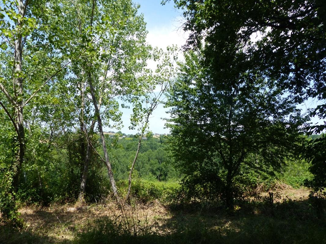 Maison à vendre, 700m², Saint-Pantaléon-de-Larche