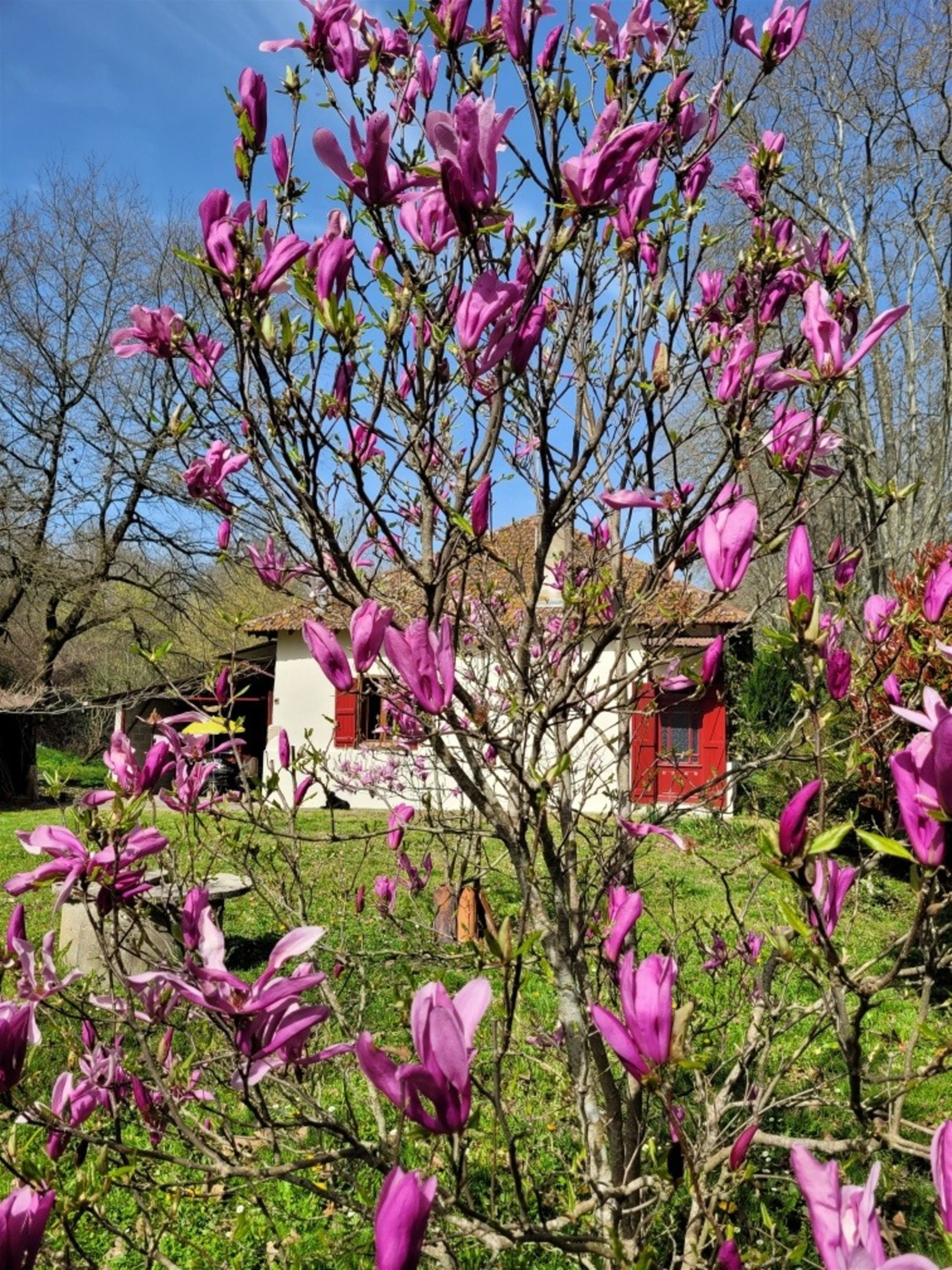 Maison à vendre, 90m², Labastide-d'Armagnac