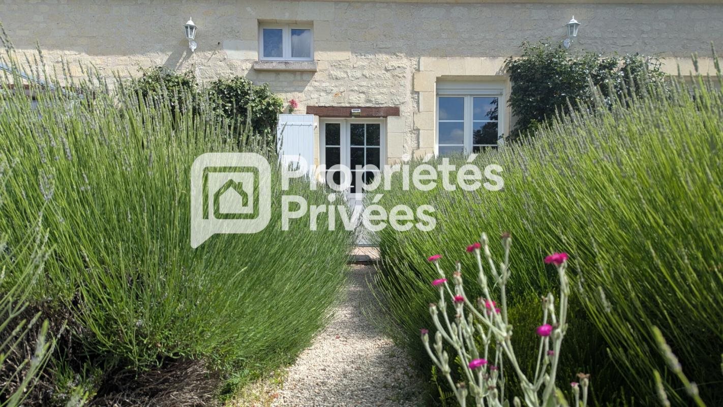 Maison à vendre, 228m², Chinon