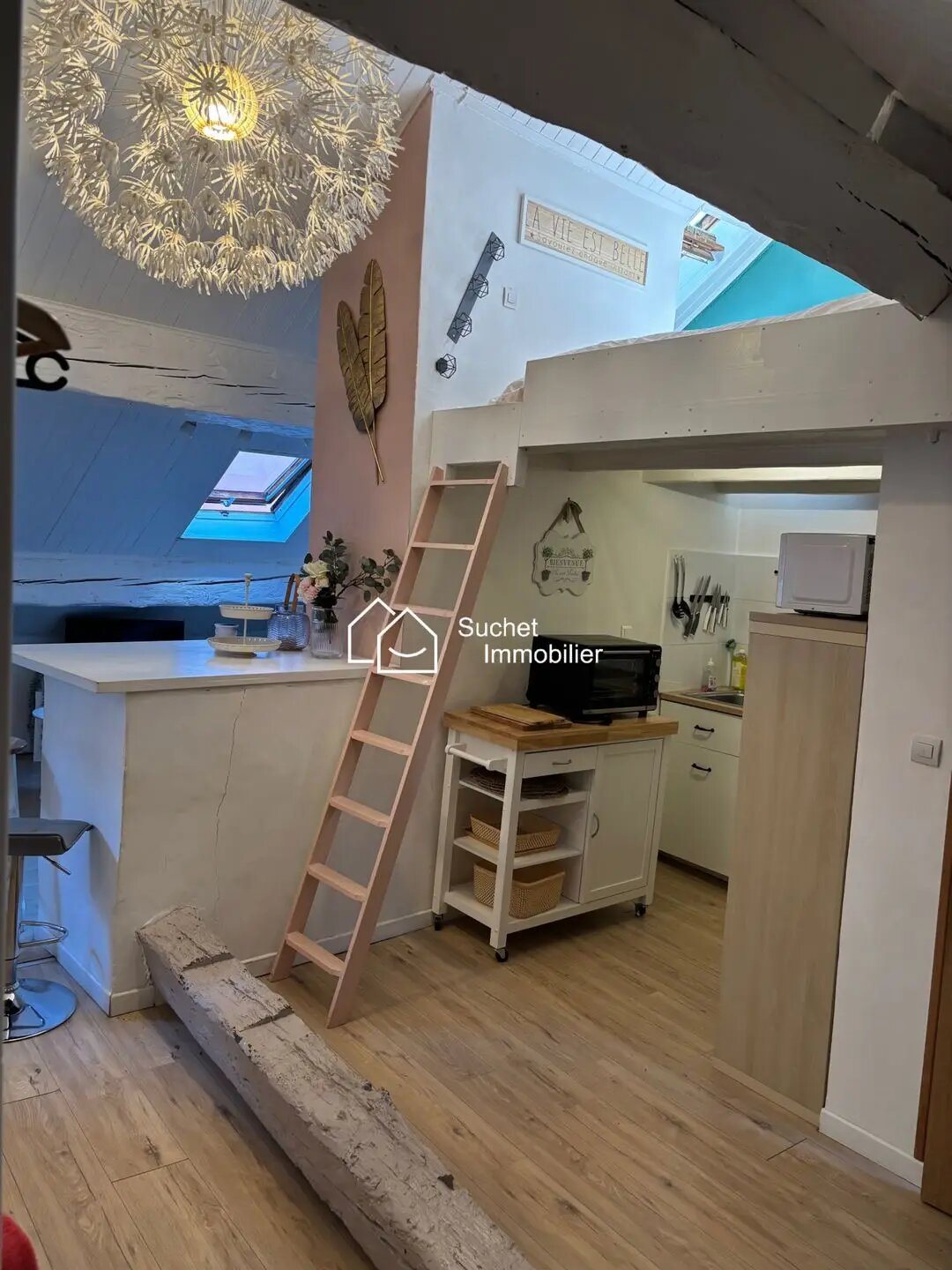 Appartement à vendre, 24m², Annecy