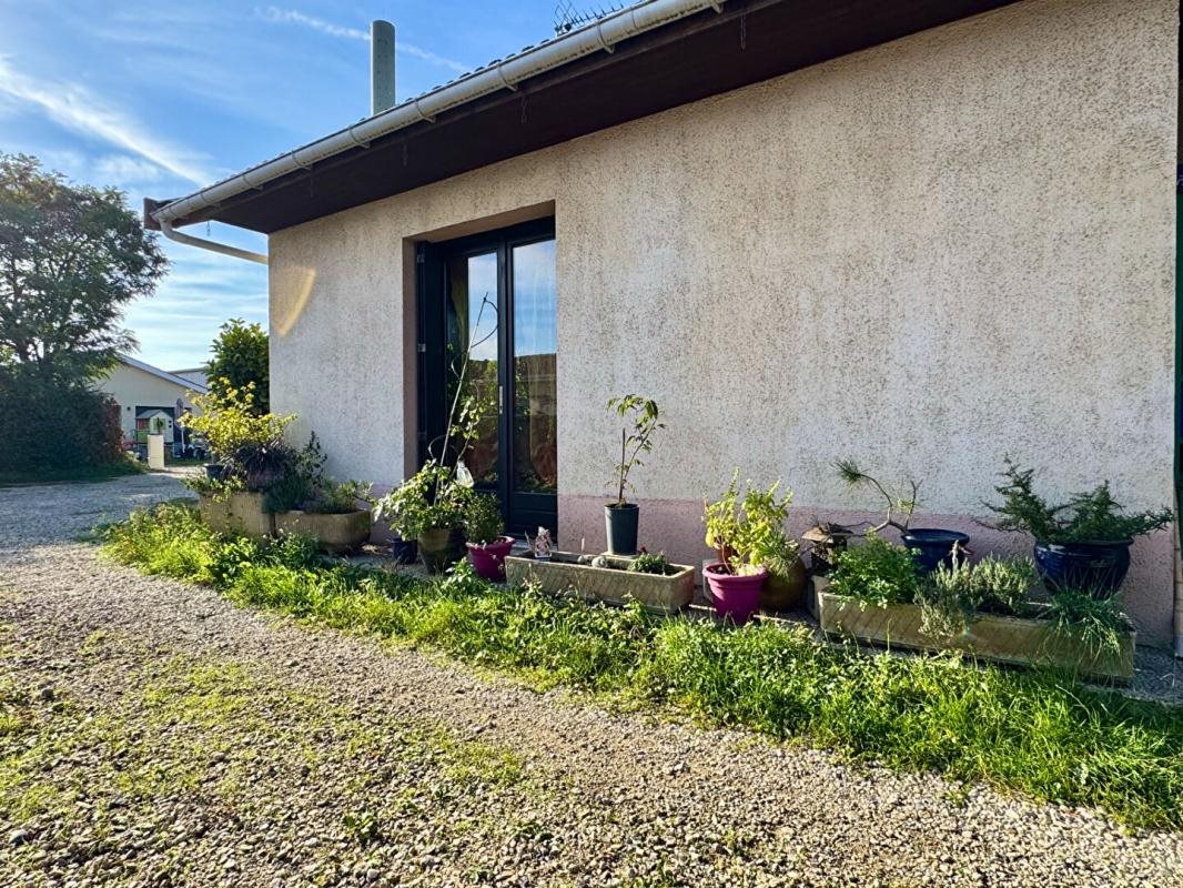 Maison à vendre, 100m², Chassieu
