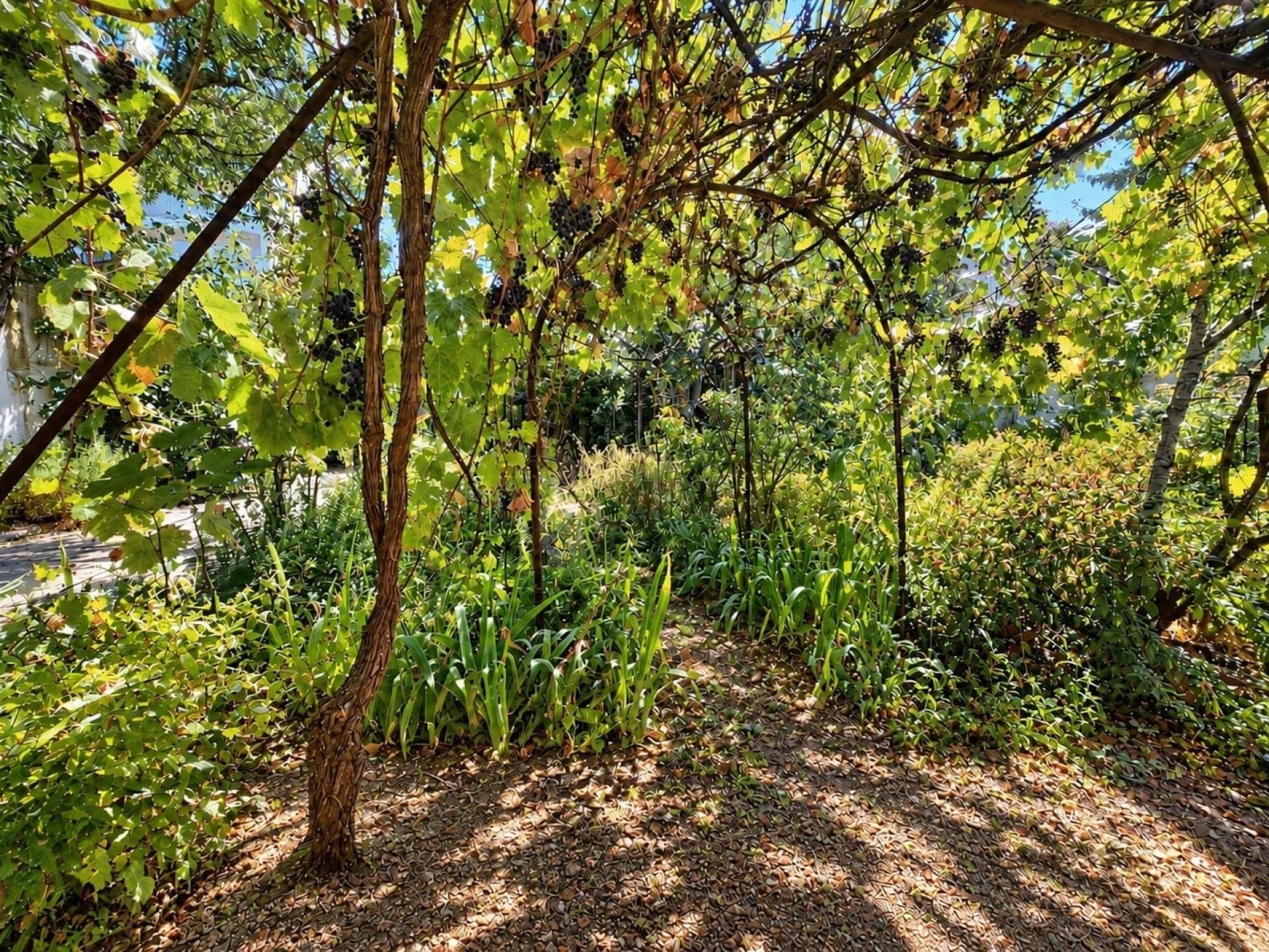 Maison à vendre, 108m², Alfortville