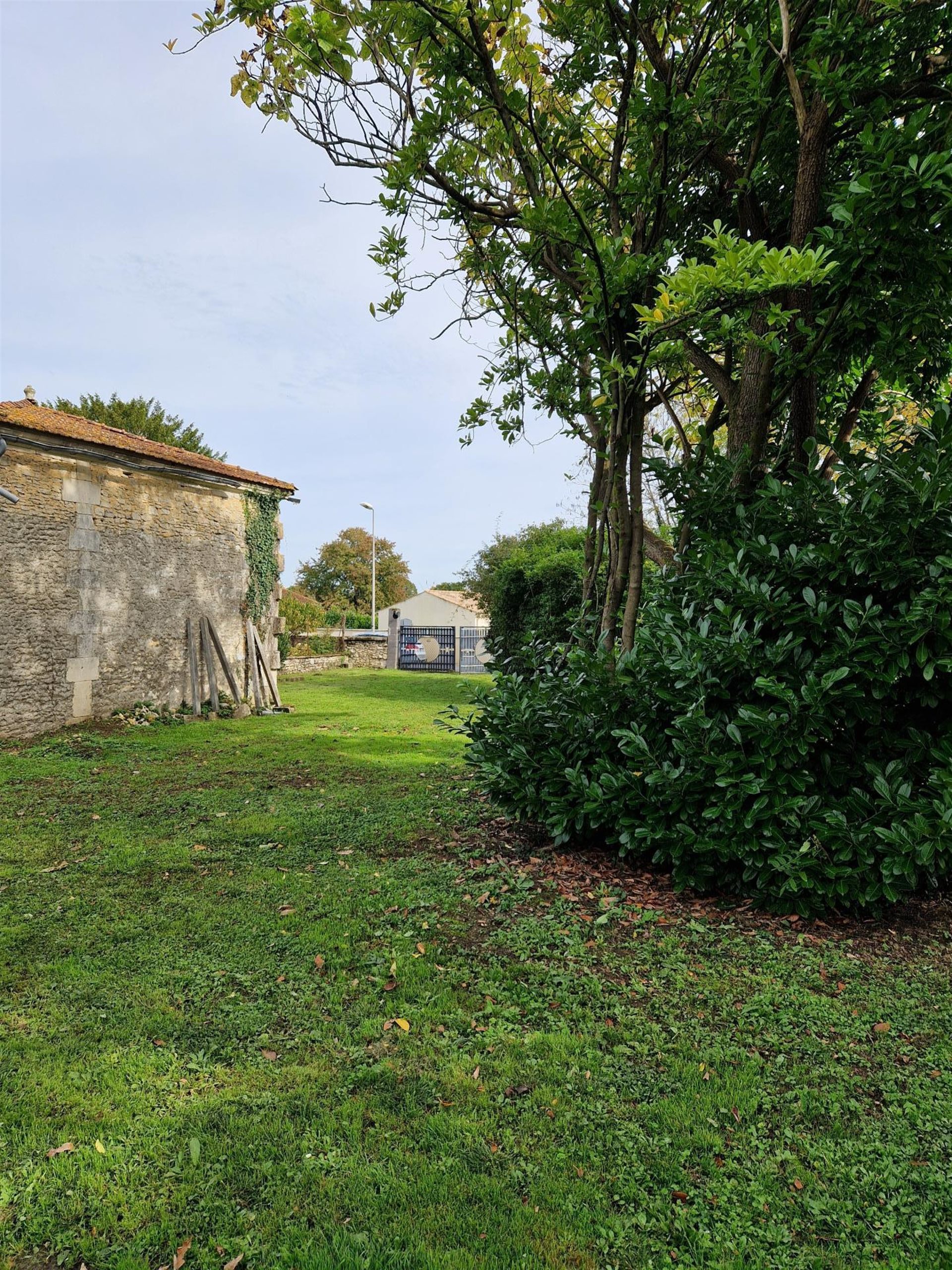 Maison à vendre, 50m², Saint-Genis-de-Saintonge