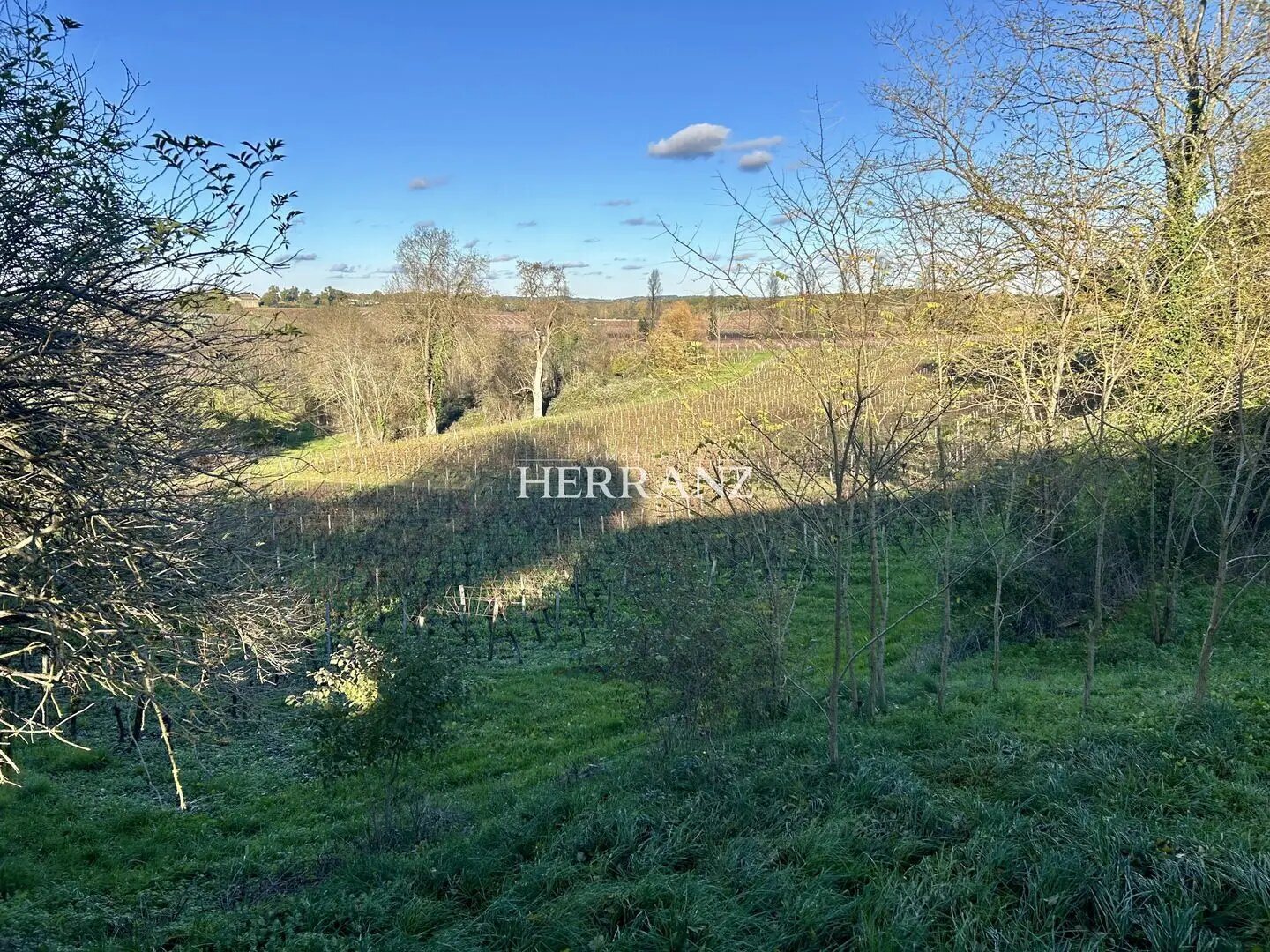 Maison à vendre, 181m², Lussac