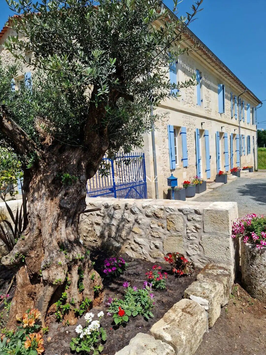 Maison à vendre, 327m², Blésignac
