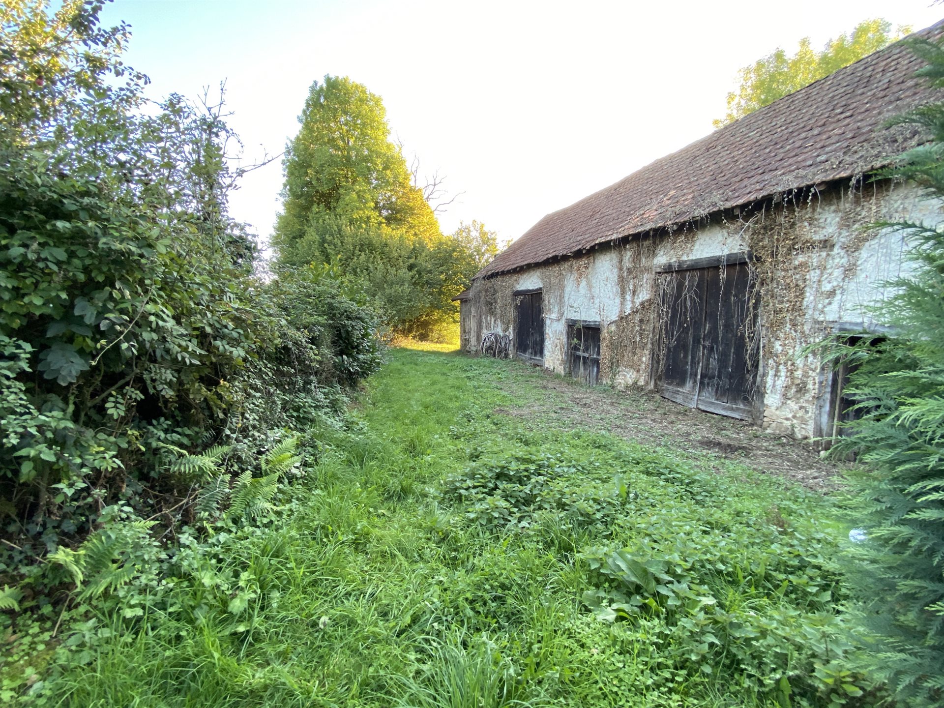 Maison à vendre, 60m², Naves