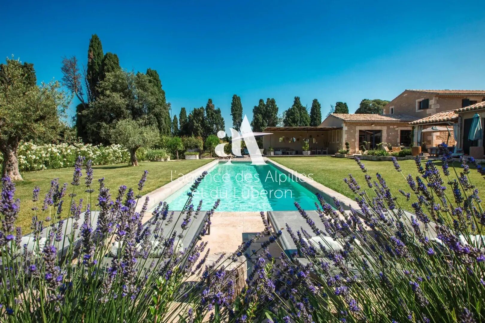 Maison à louer, 290m², Saint-Rémy-de-Provence