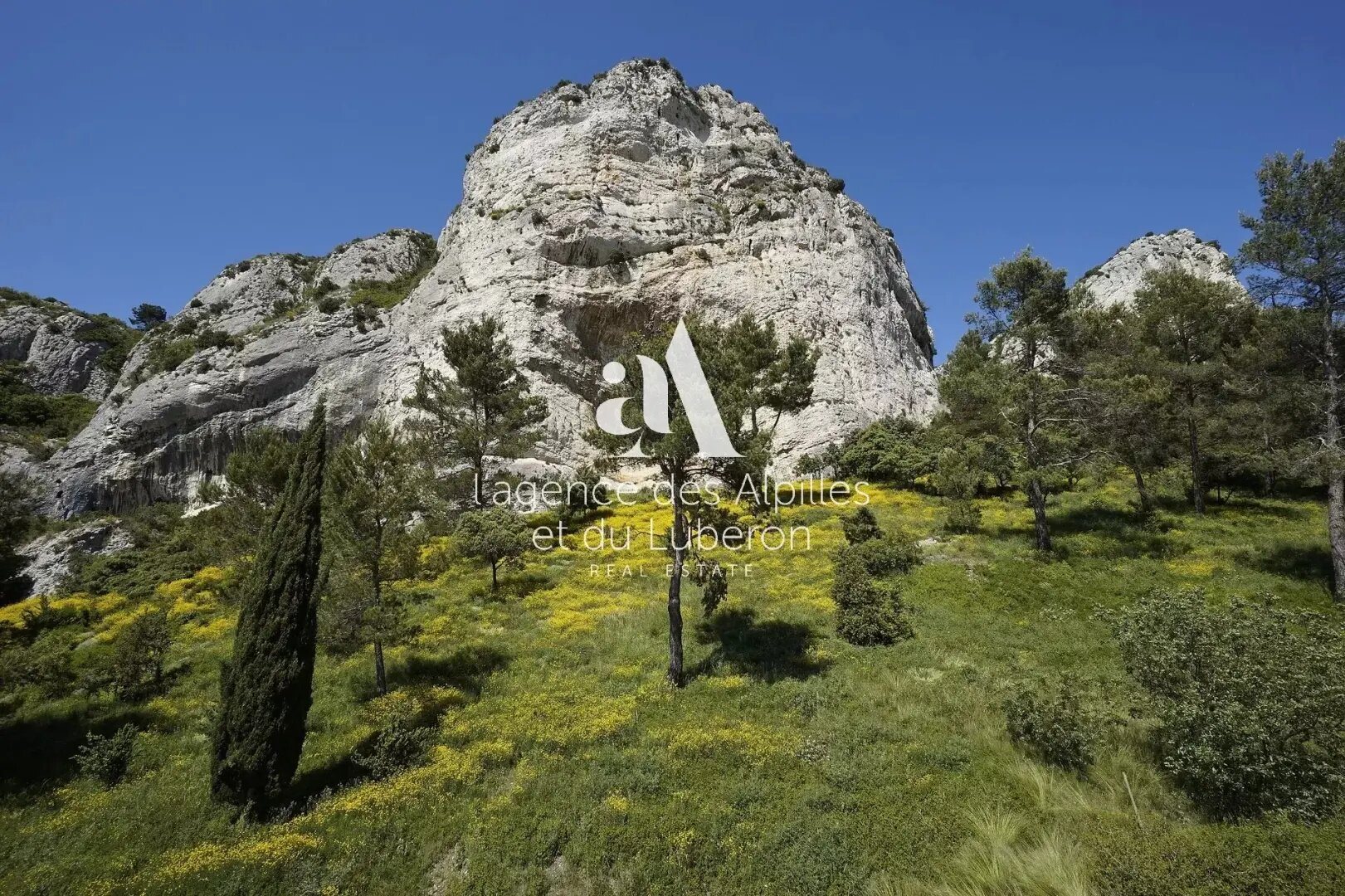 Maison à louer, 300m², Saint-Rémy-de-Provence