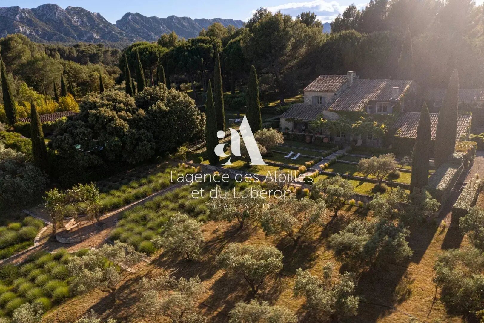 Maison à louer, 550m², Eygalières