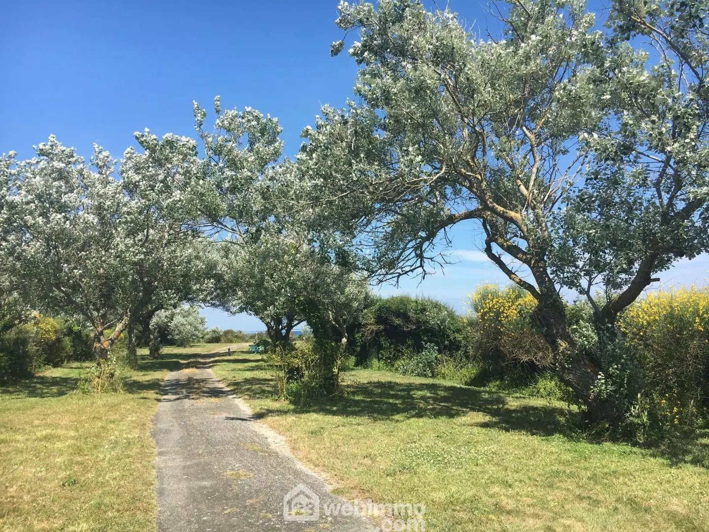Maison à vendre, 100m², Groix