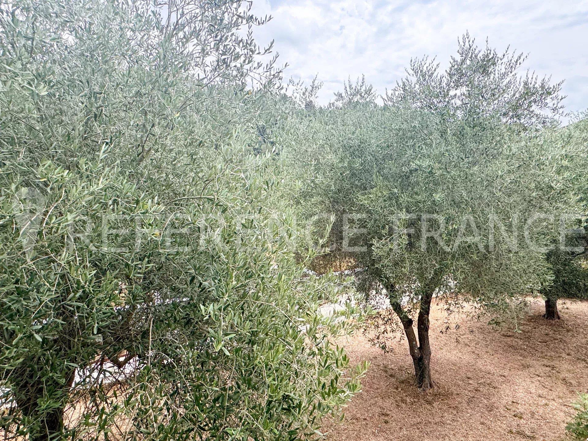 Maison à vendre, 120m², Valbonne