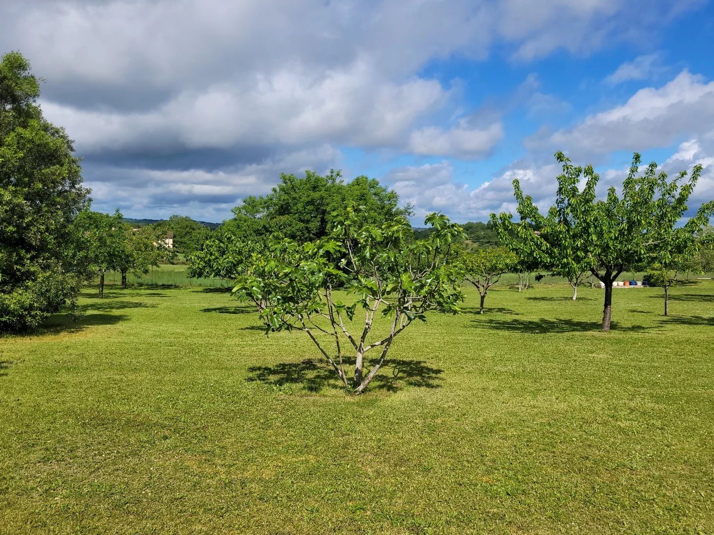 Maison à vendre, 277m², Cahors