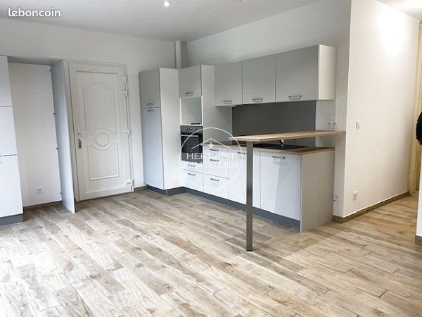 Appartement à louer, 53m², Lailly-en-Val