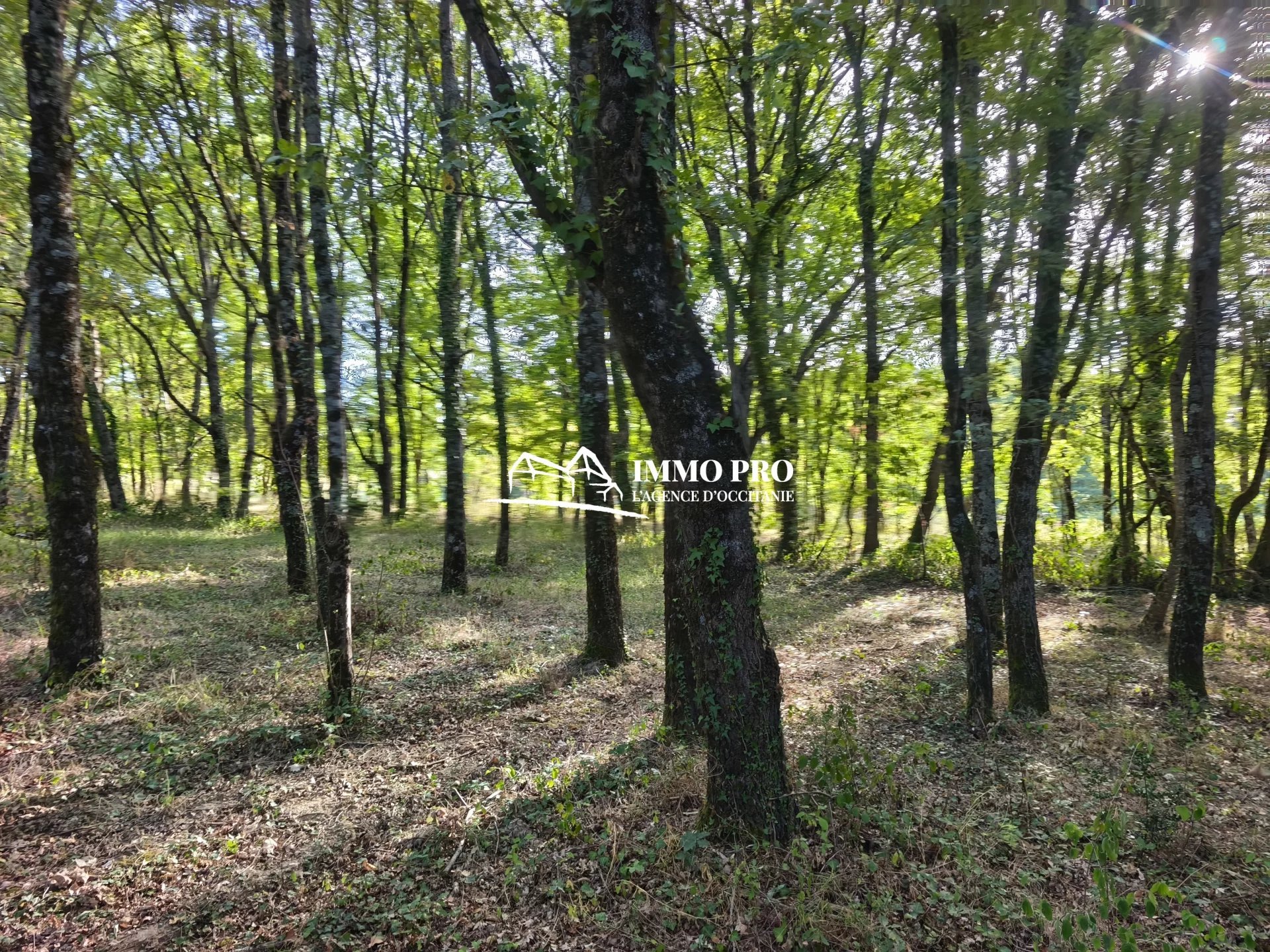 Le Fousseret (Upper Garonne) photo 4