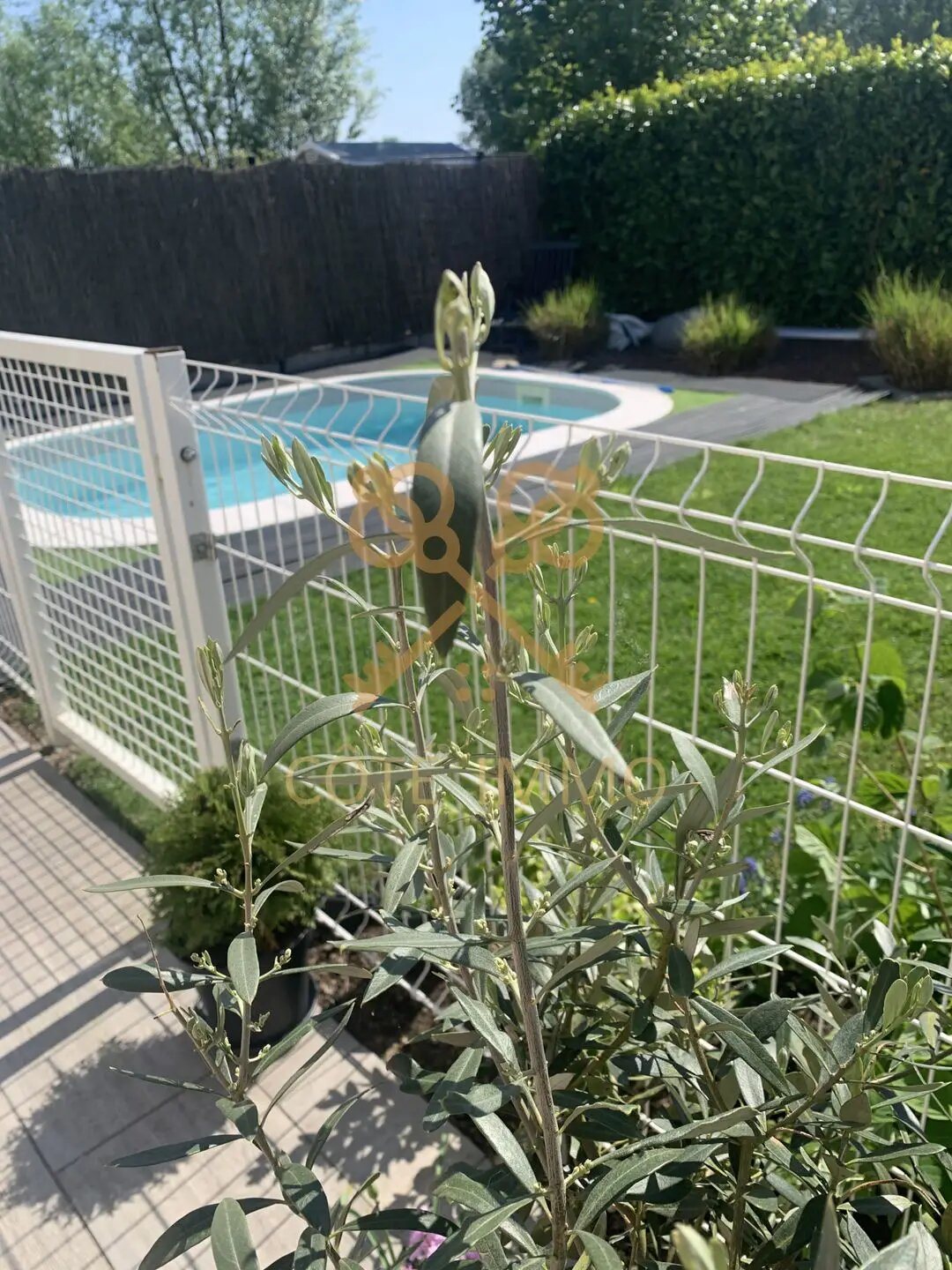 Maison à vendre, 118m², Genech