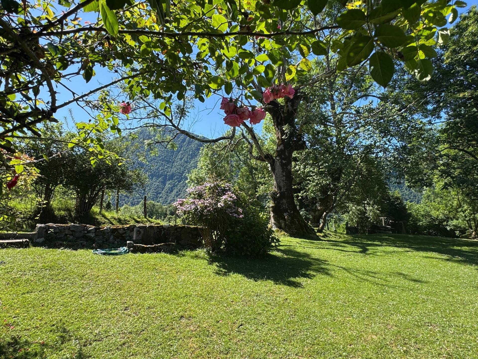 Maison à vendre, 240m², Bedous