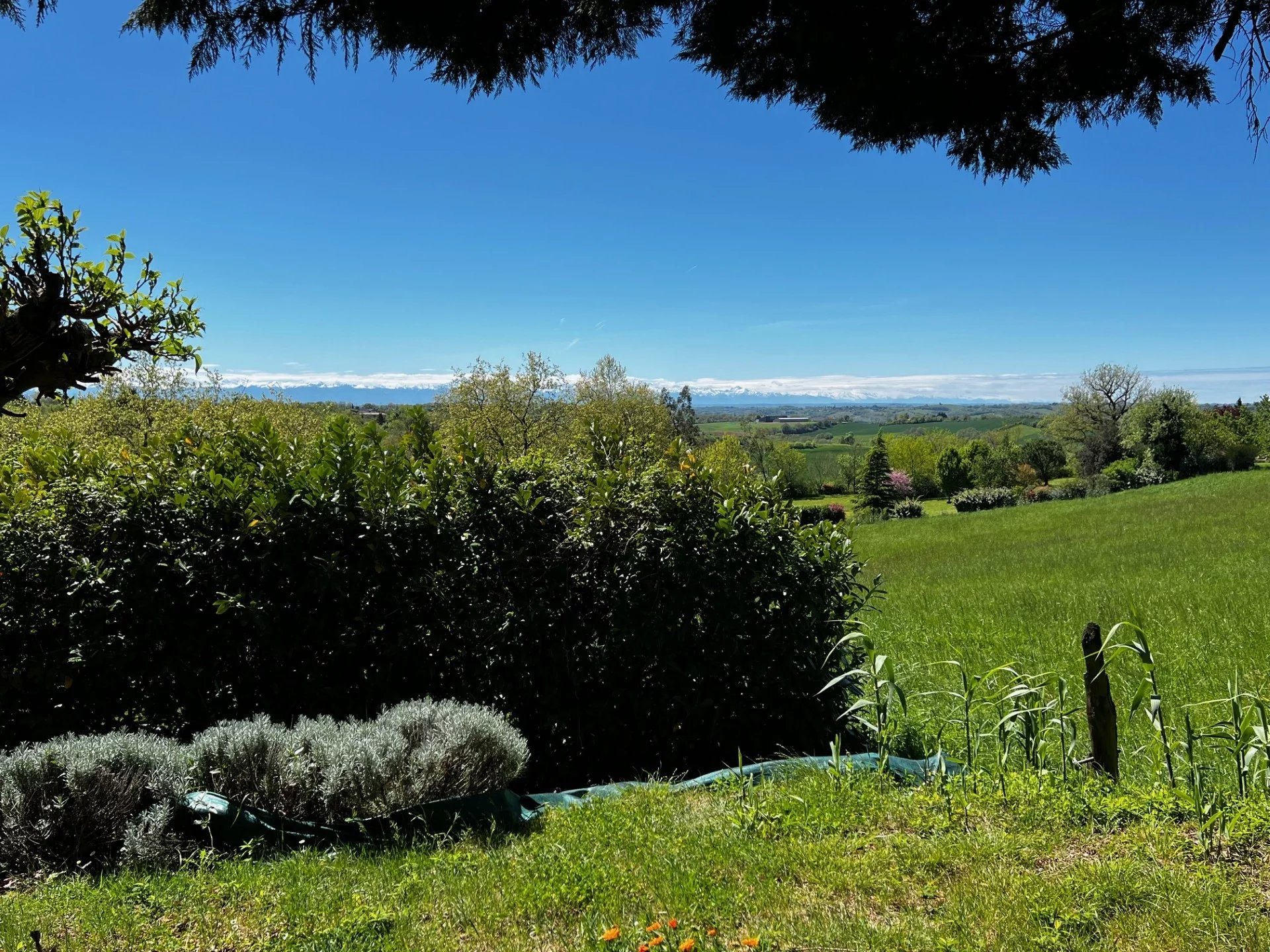 Maison à vendre, 115m², L'Isle-en-Dodon