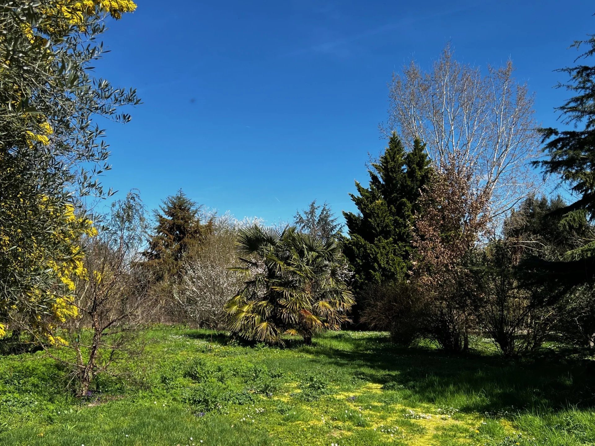 Maison à vendre, 156m², L'Isle-en-Dodon