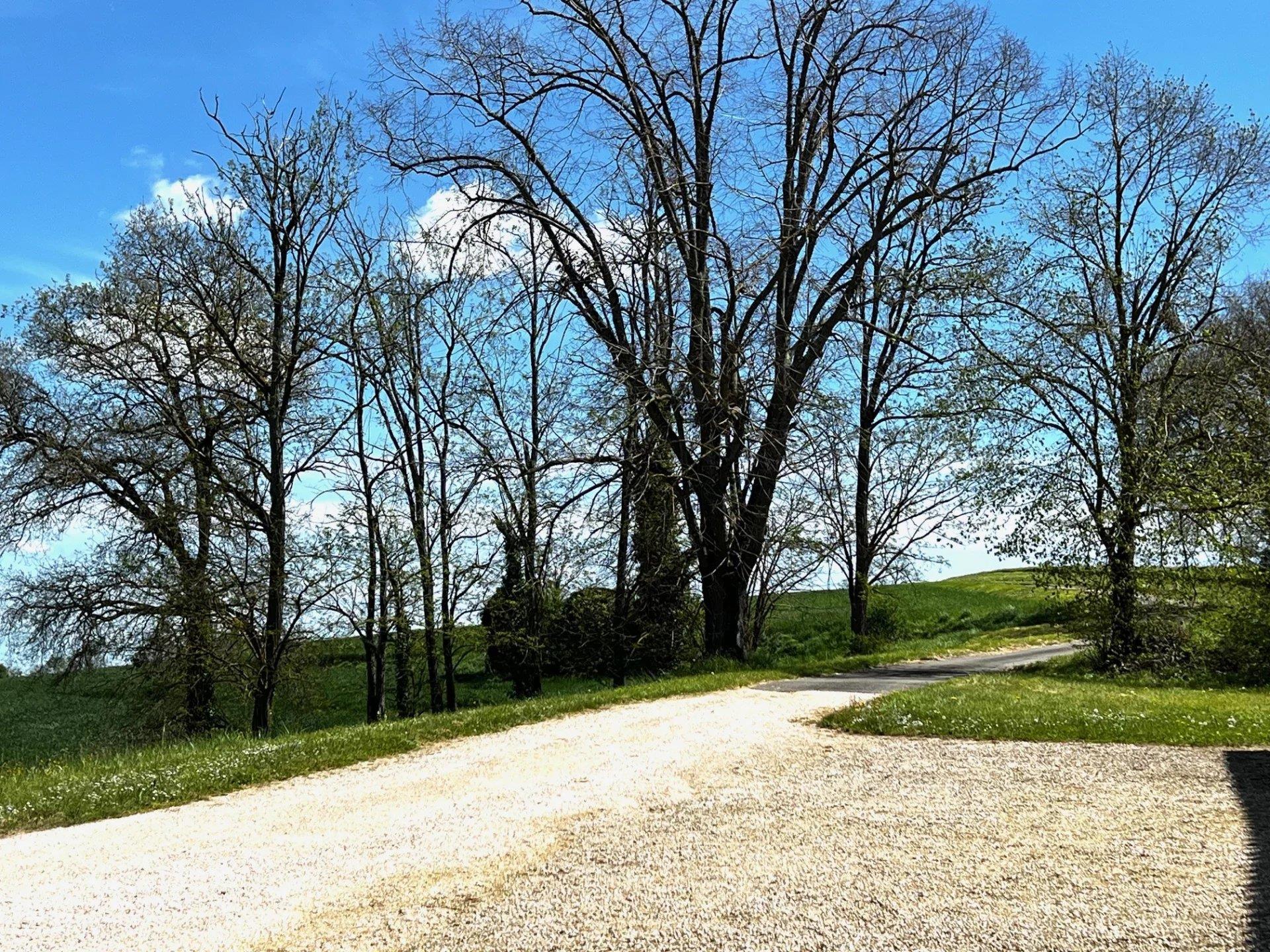 Maison à vendre, 241m², Lombez