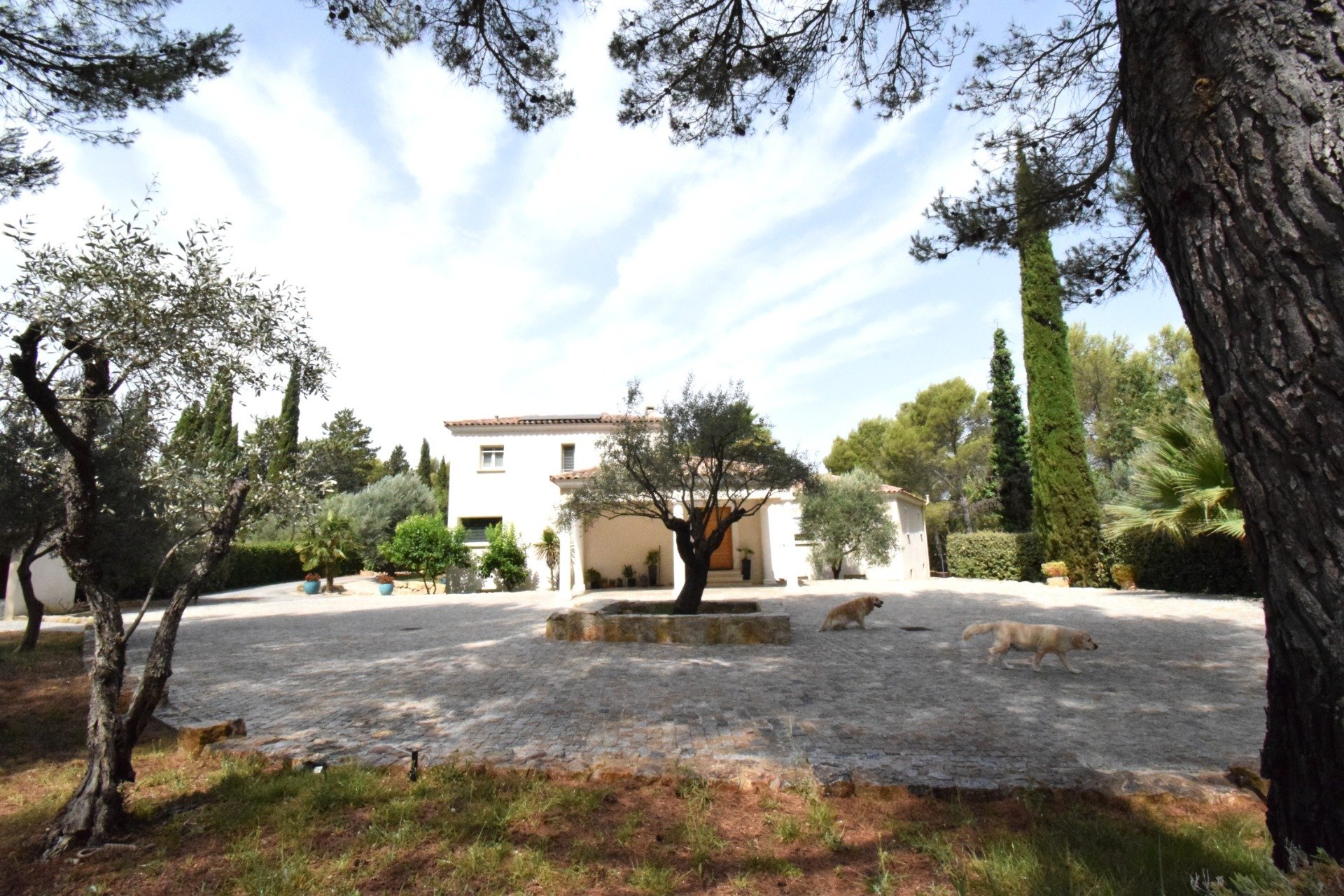 Maison à vendre, 300m², Draguignan