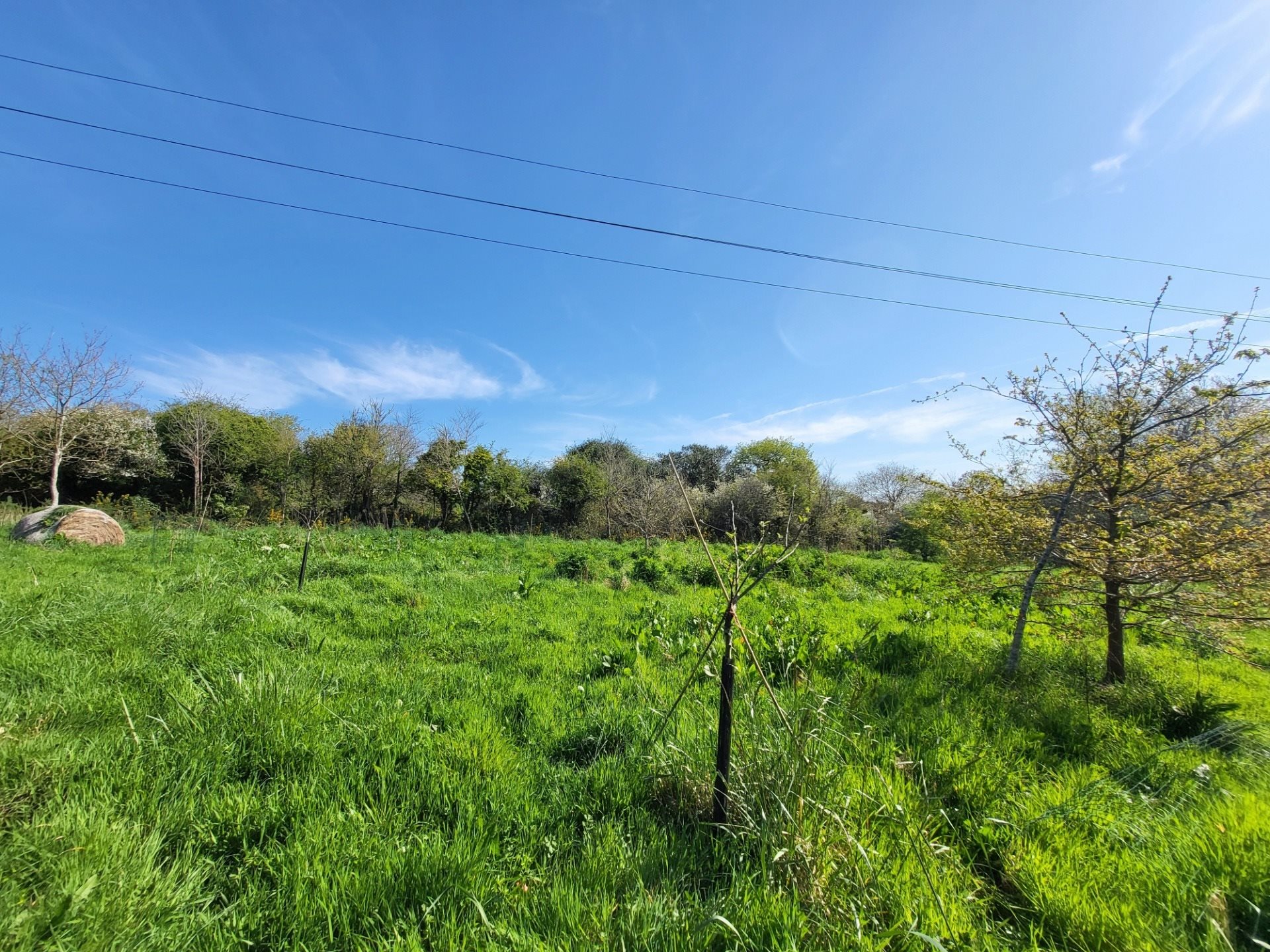 Maison à vendre, 520m², Crozon